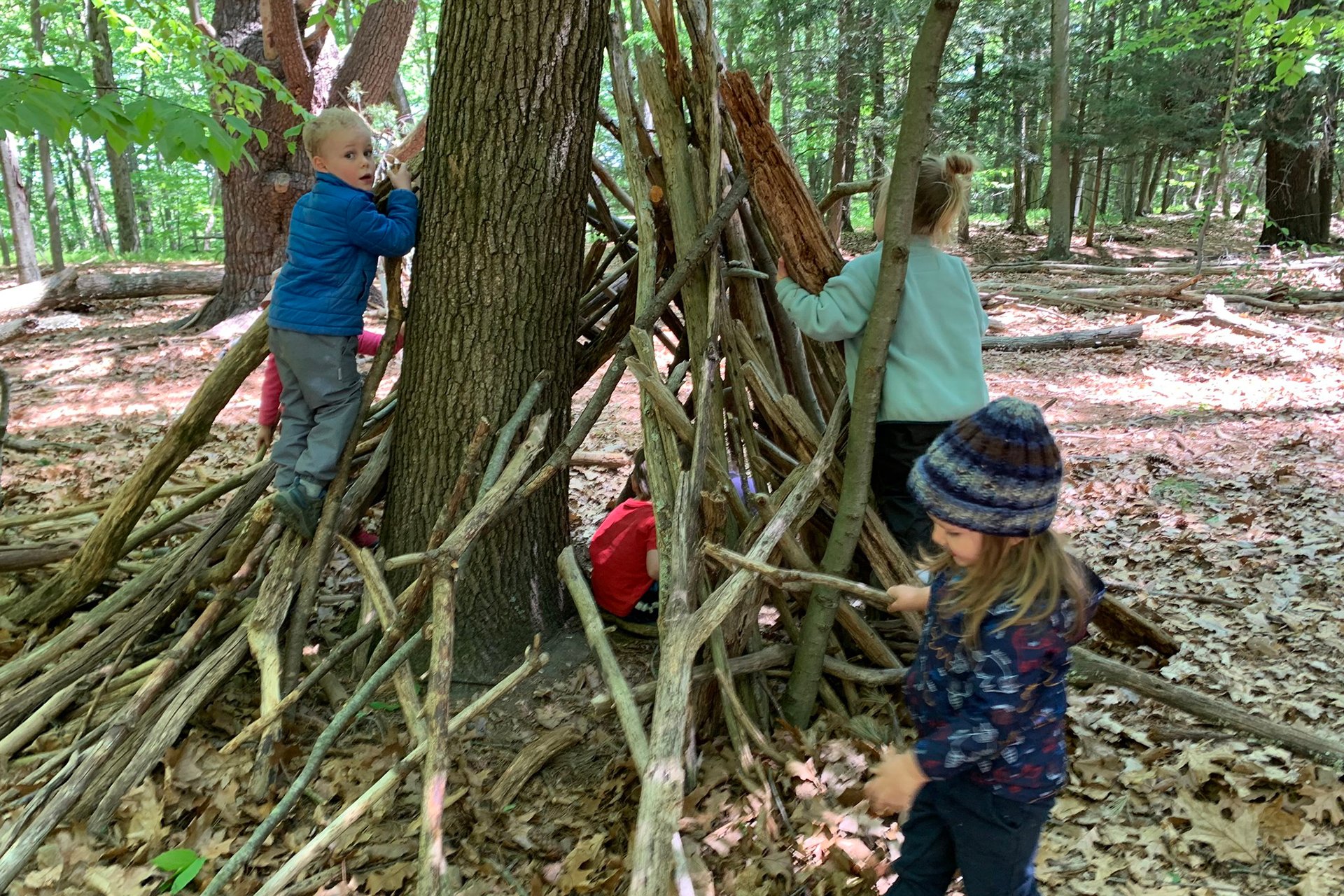 Arcadia Preschools building a fort