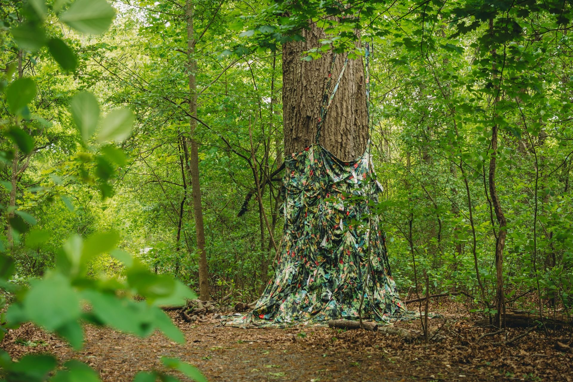 A piece from Laura Lima's mixed media work Indistinct Form from the Boston Public Art Triennial. Fabric is draped around the trunk of a tree.