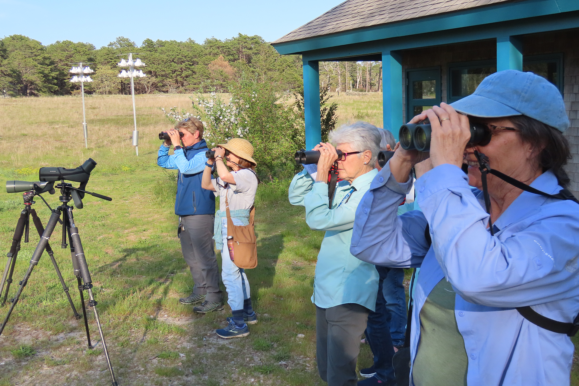 one of Cape Cod's Bird-a-thon teams, the Lame Ducks