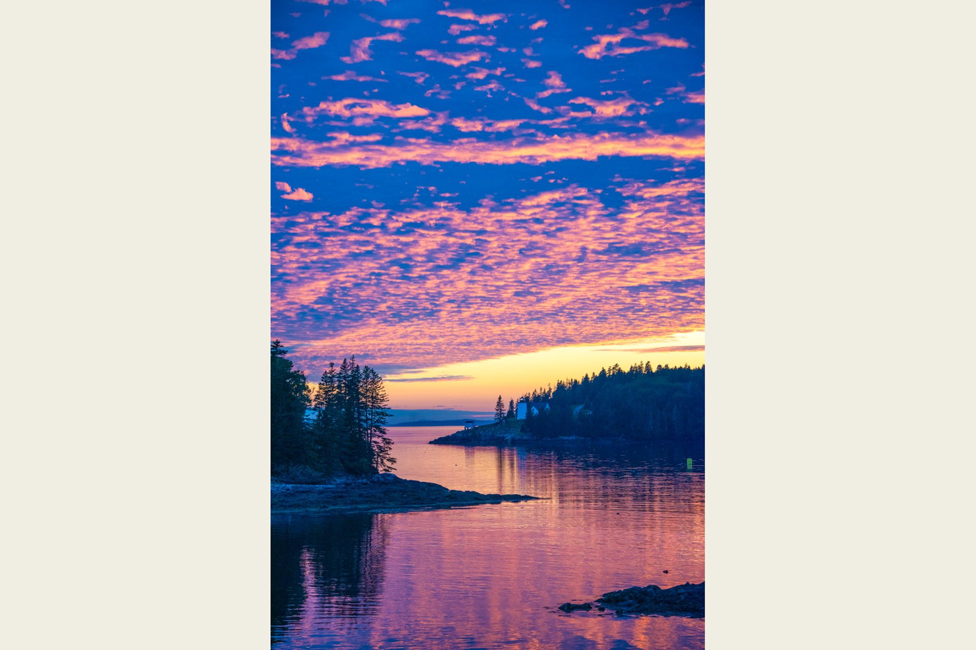Bright pink and purple sunset over water and trees © Joshua Touster