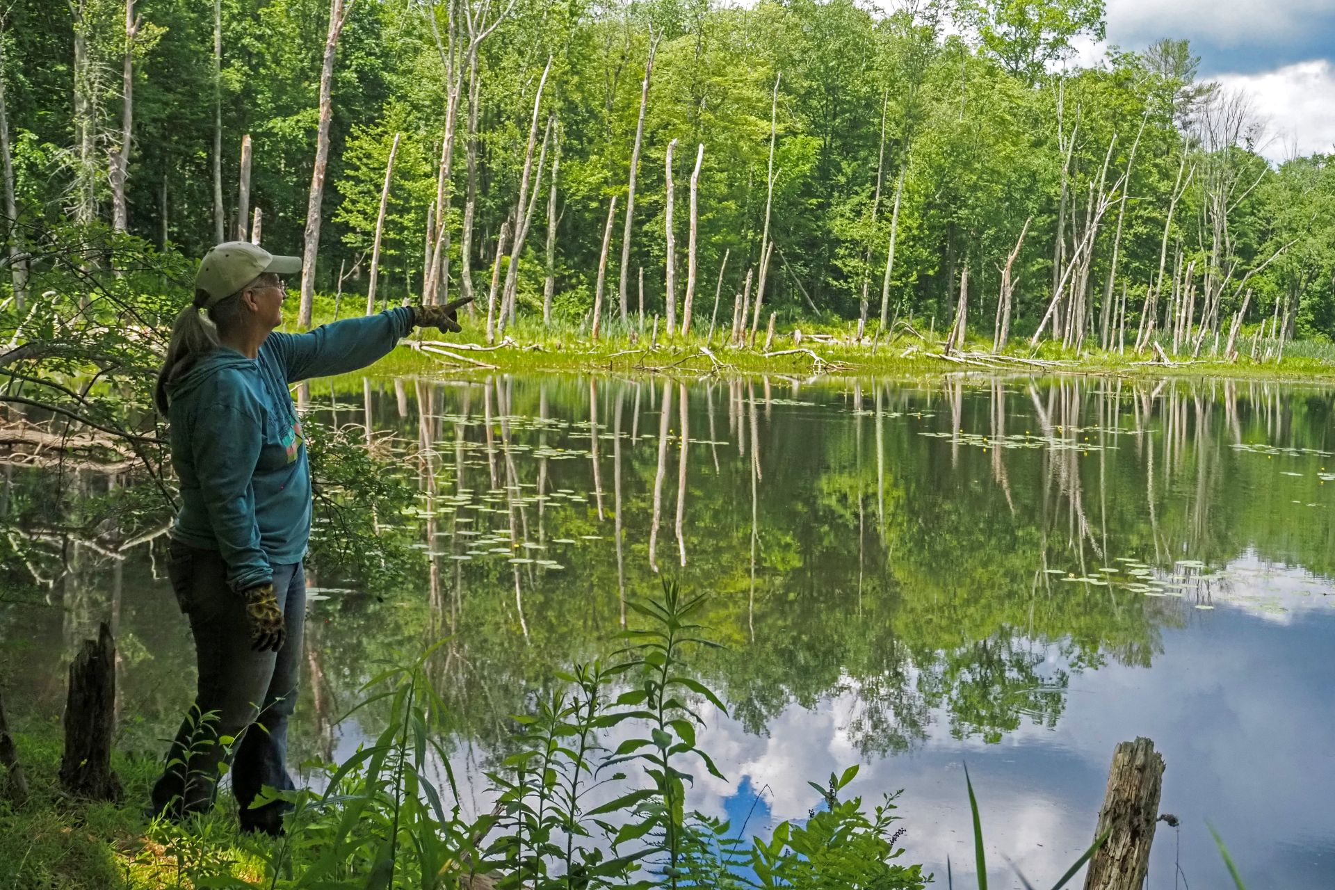 Person pointing across pond