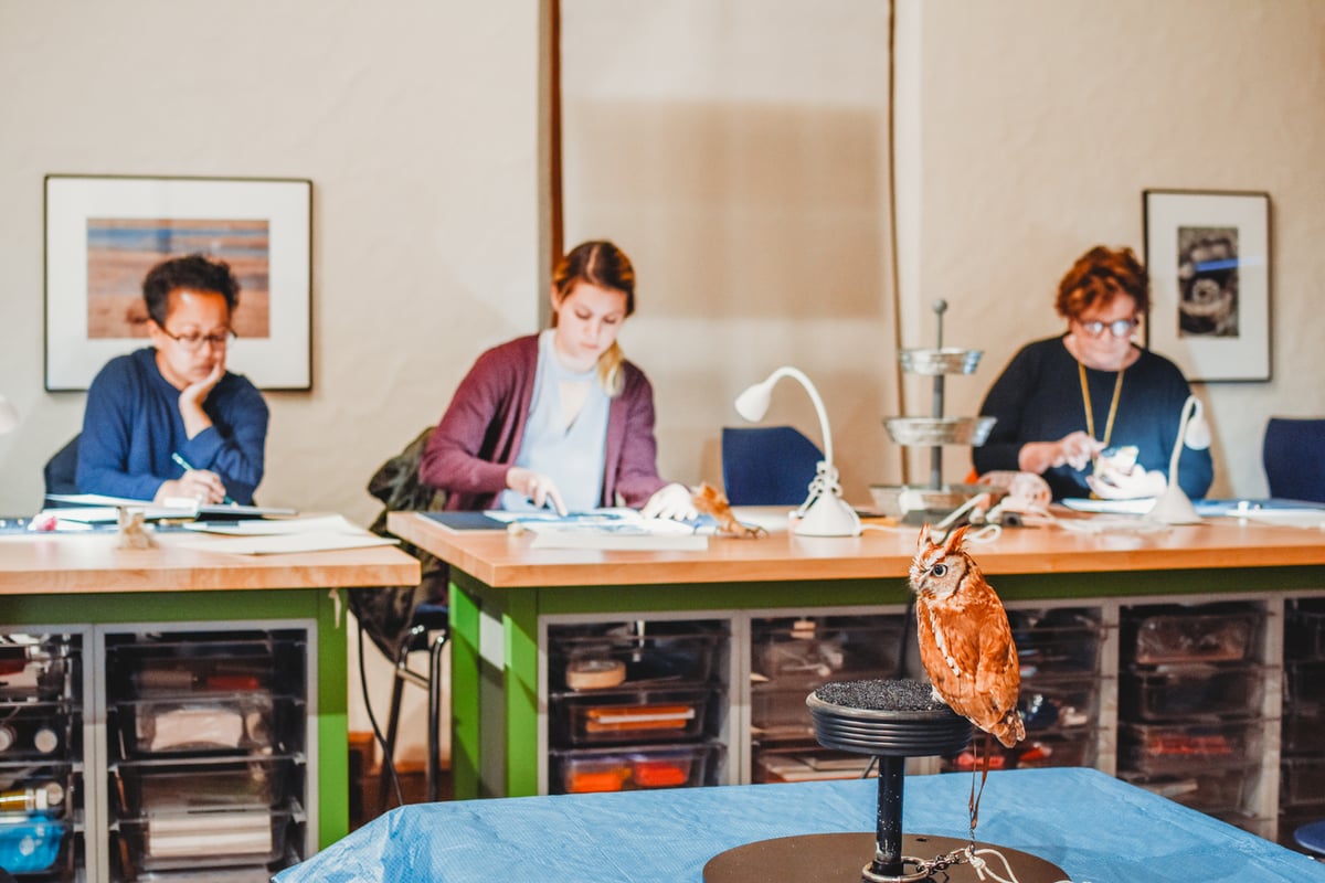 A small owl in front of three people sitting at desks with art supplies.