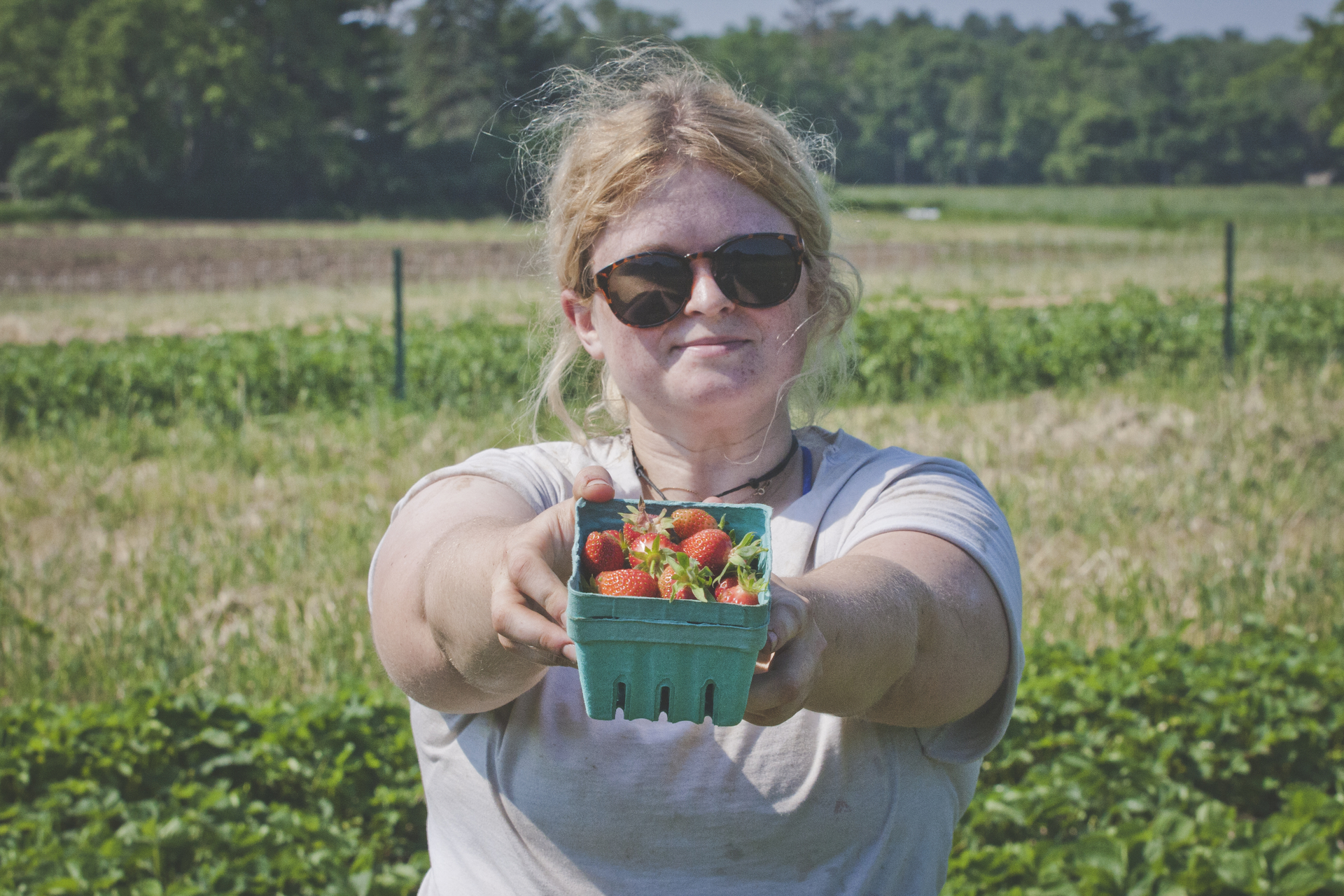 Woman in field holding box of strawberries to camera