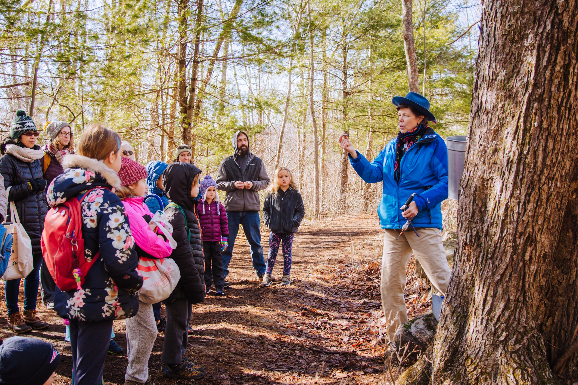 Maple sugaring program led by an educator