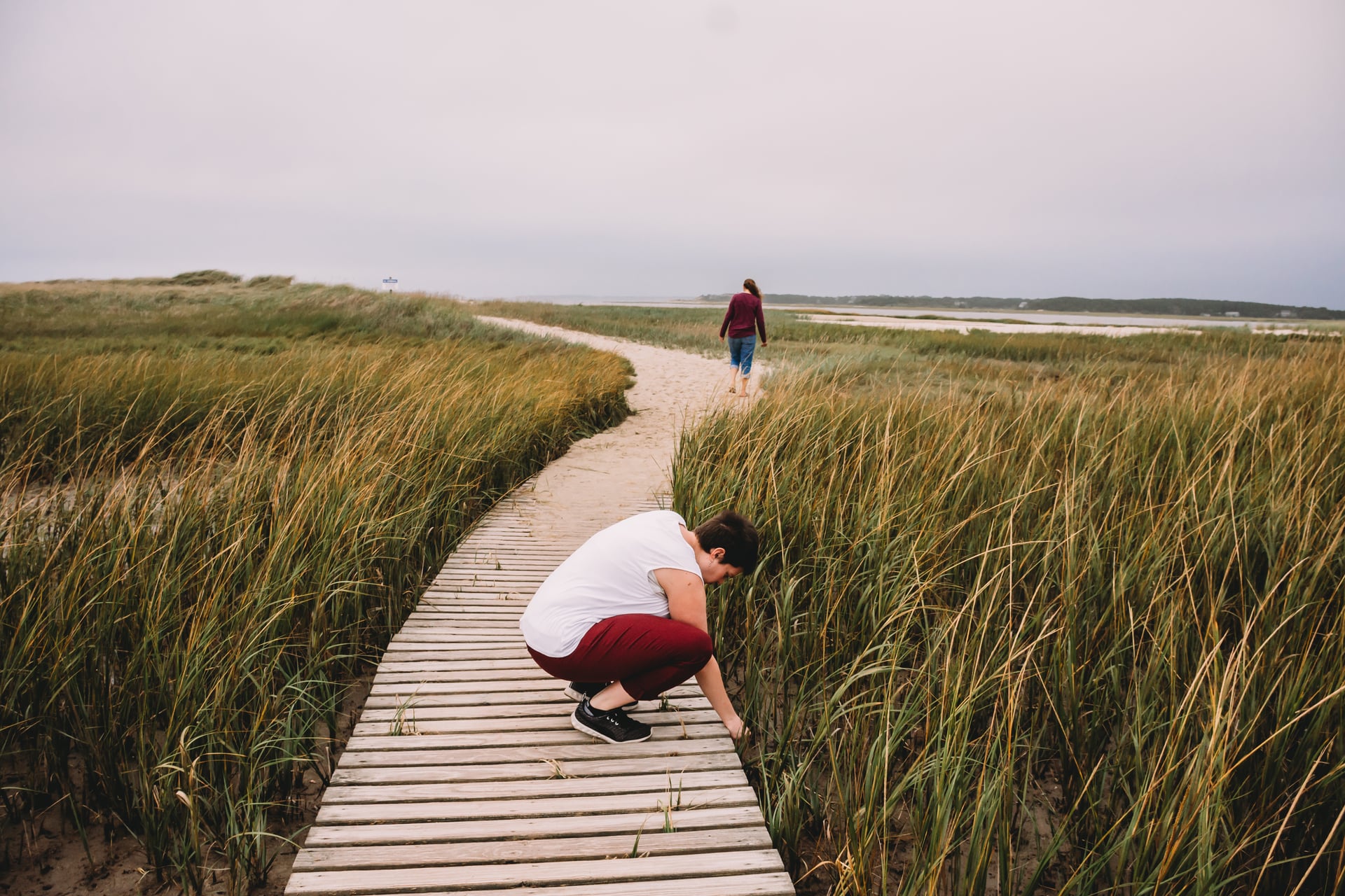 Person squatting on a boardwalk to inspect marsh grass