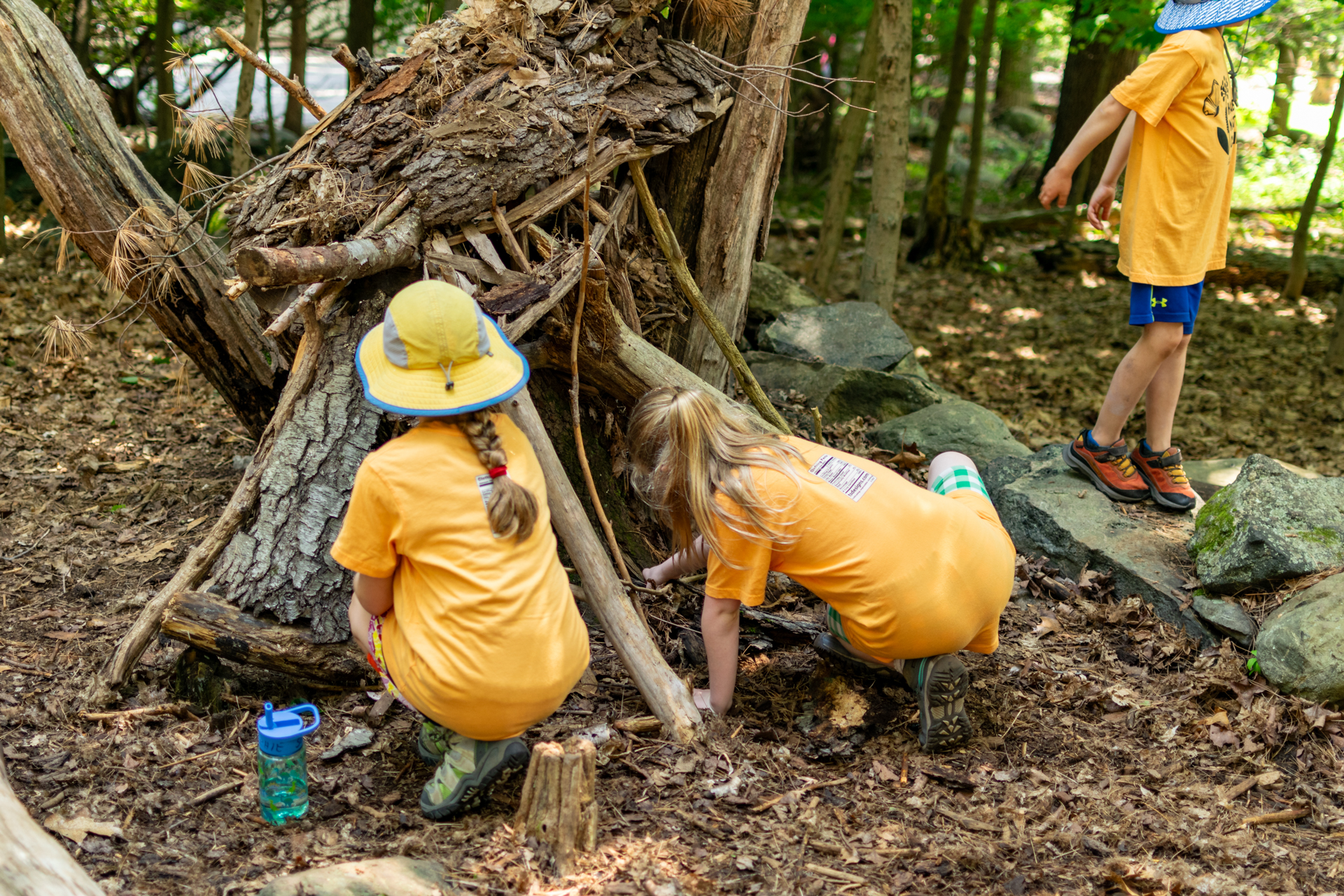 Habitat campers building a rustic shelter in the forest out of branches, bark, and sticks