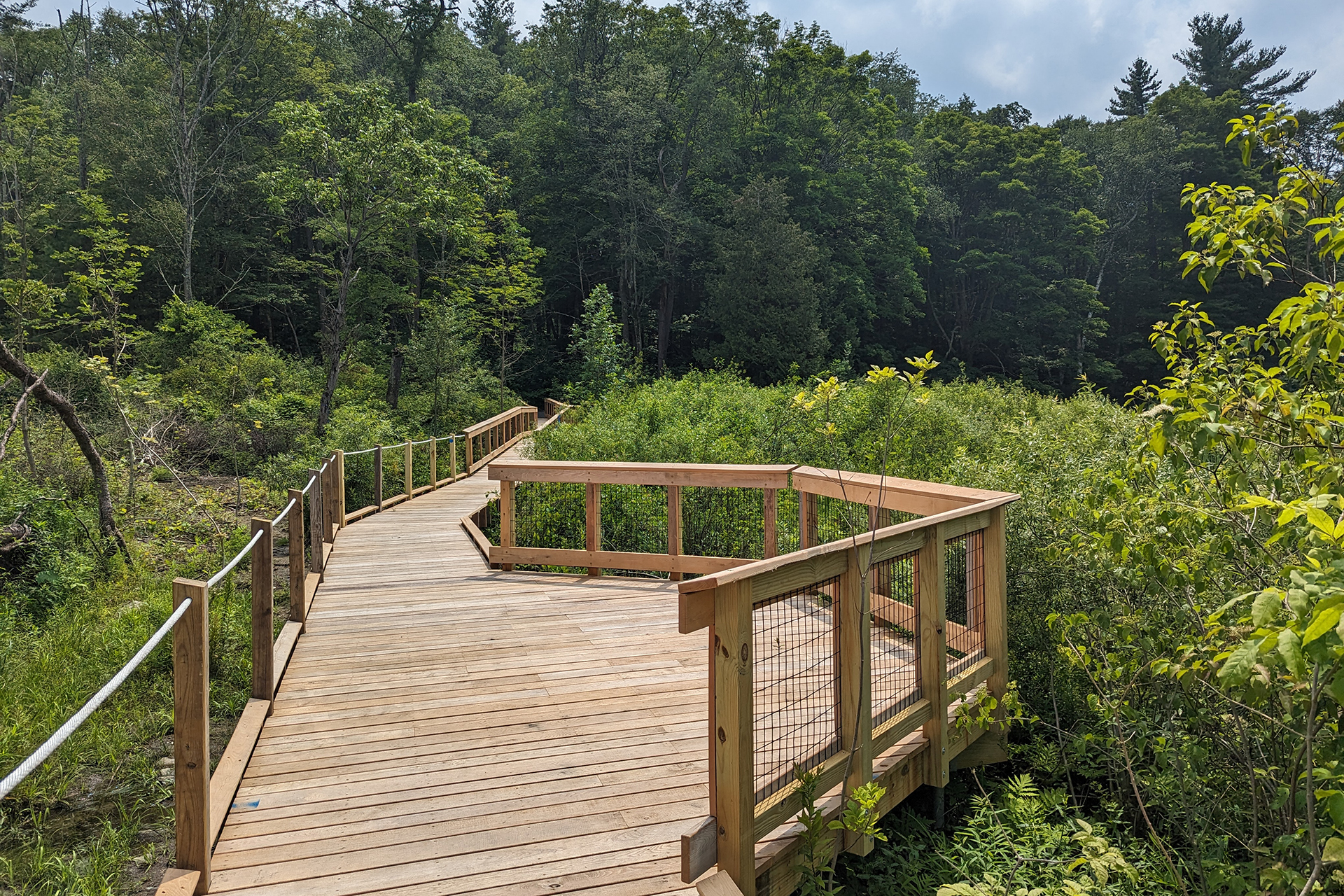 Boardwalk in bright sun on the All Persons Trail