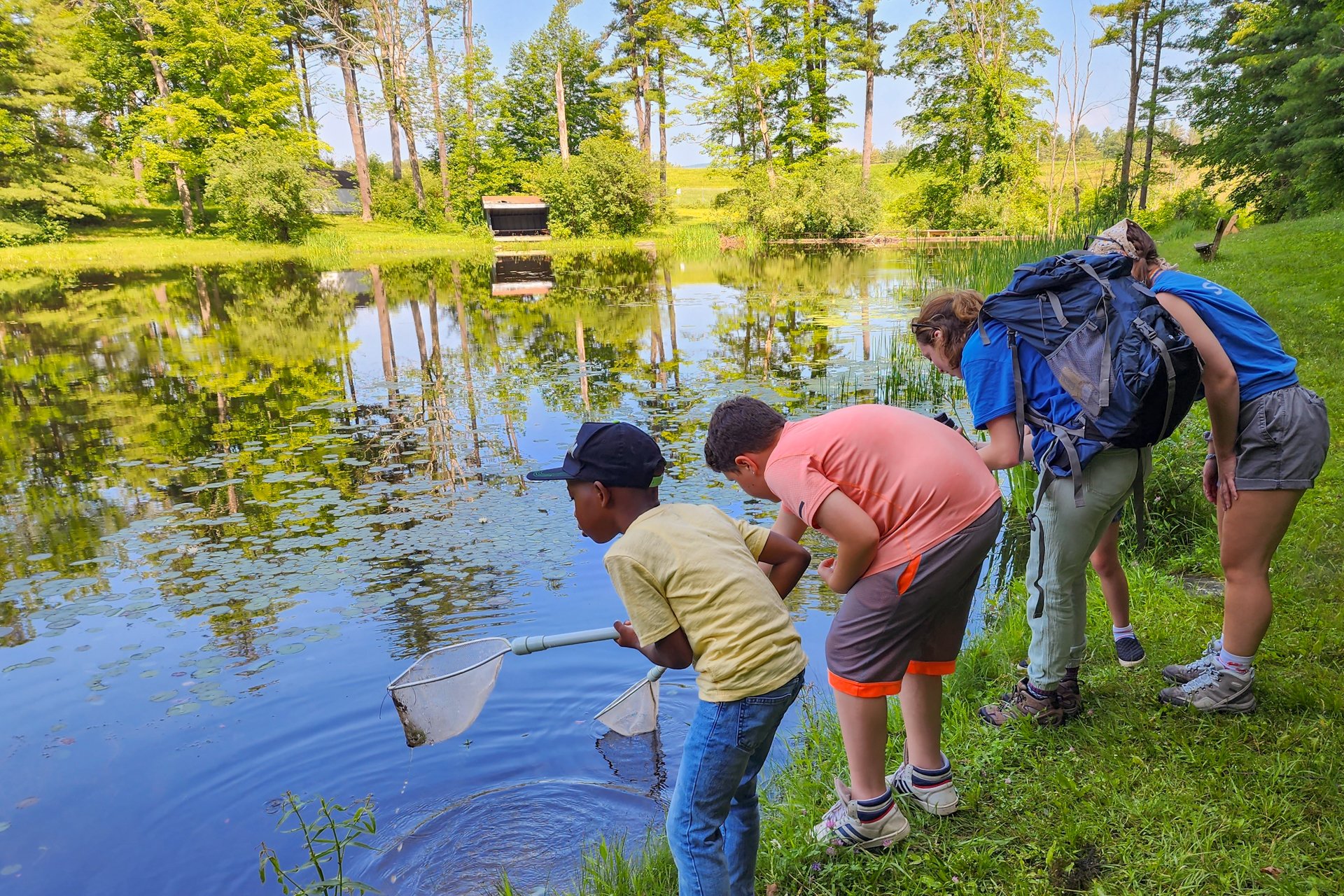 Campers and counselors at Berkshire Nature Camp use dip nets to look for aquatic wildlife in a freshwater pond