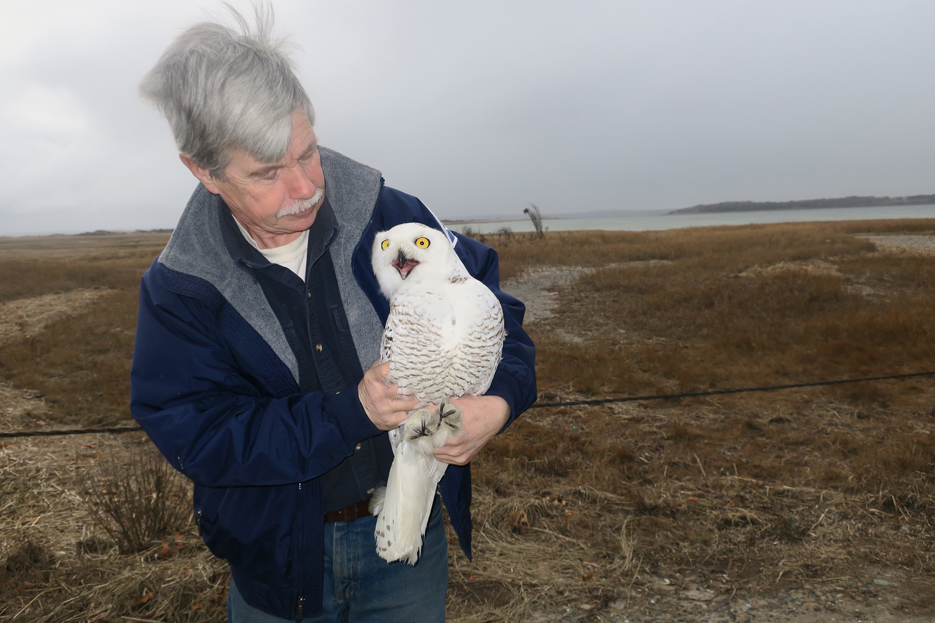 Norman Smith holding Snowy Owl