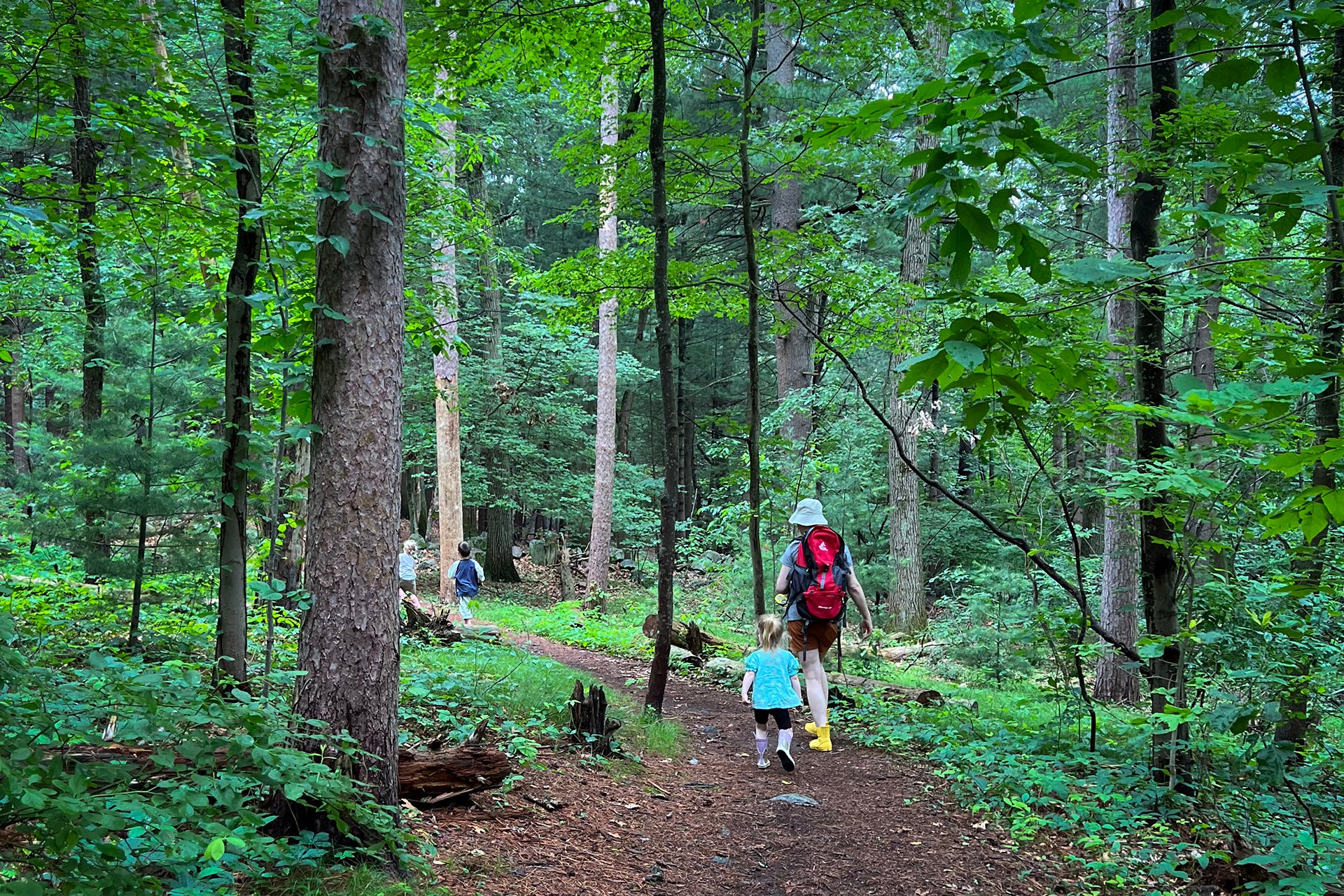 Teacher and student walking on a path through the woods