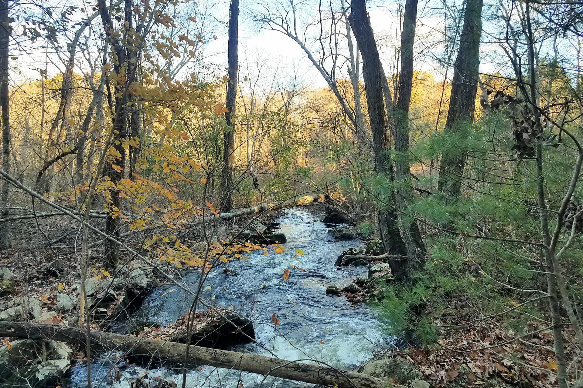 Pequid Brook along Main Loop Trail at MABA