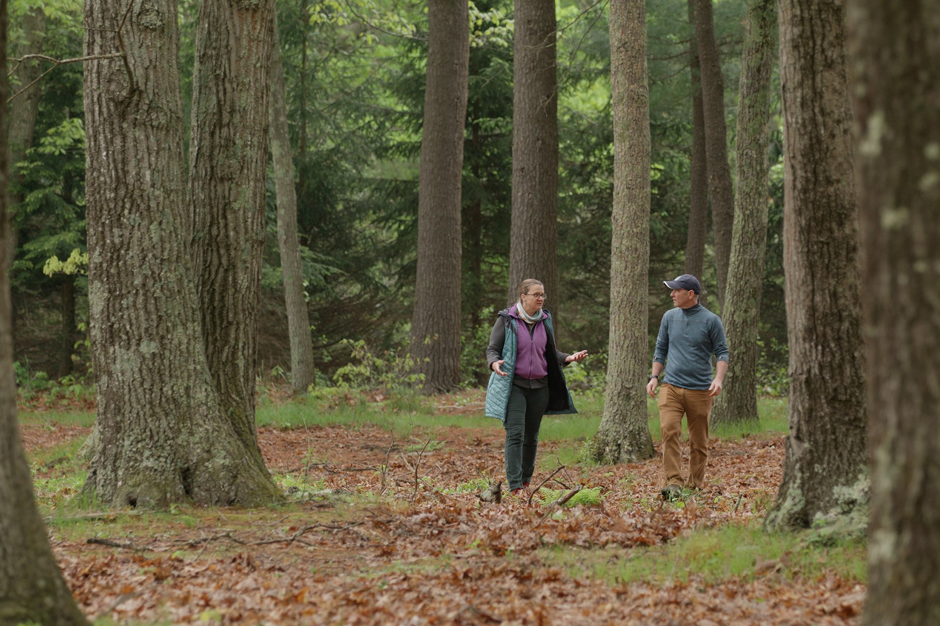 Man and Woman Walking Through Forest Talking