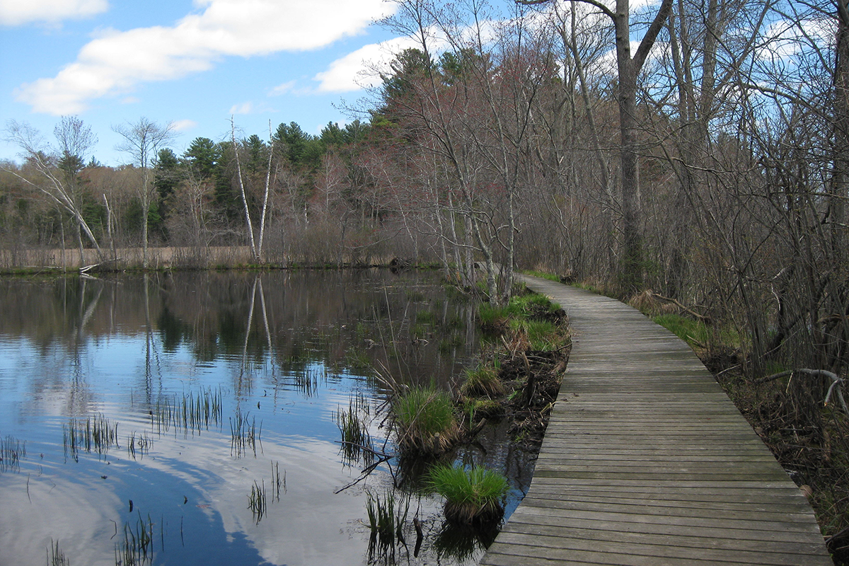 Wooden board walk wrapping around a body of water.