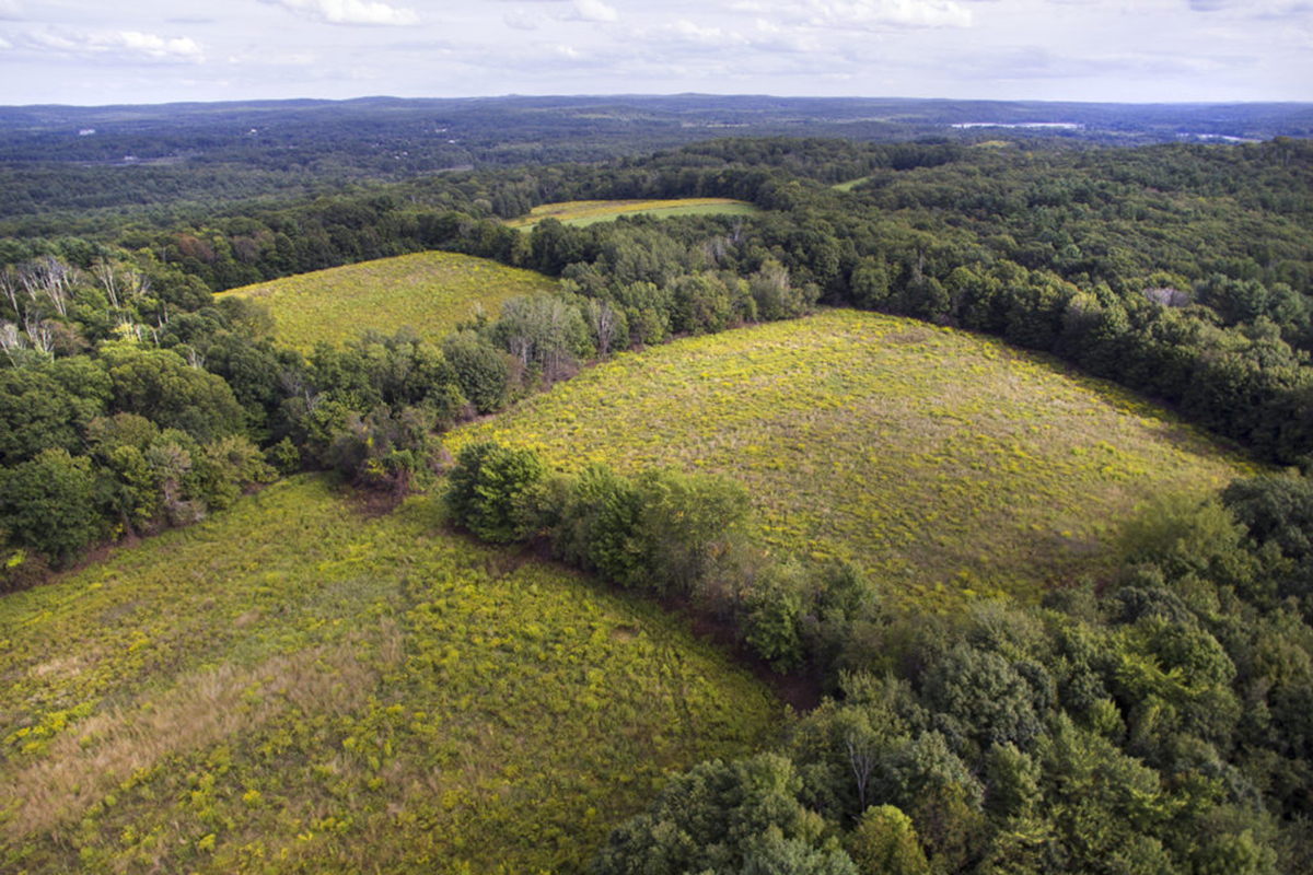 Elm Hill in 2019: scattered fields broken up by thin, wooded borders