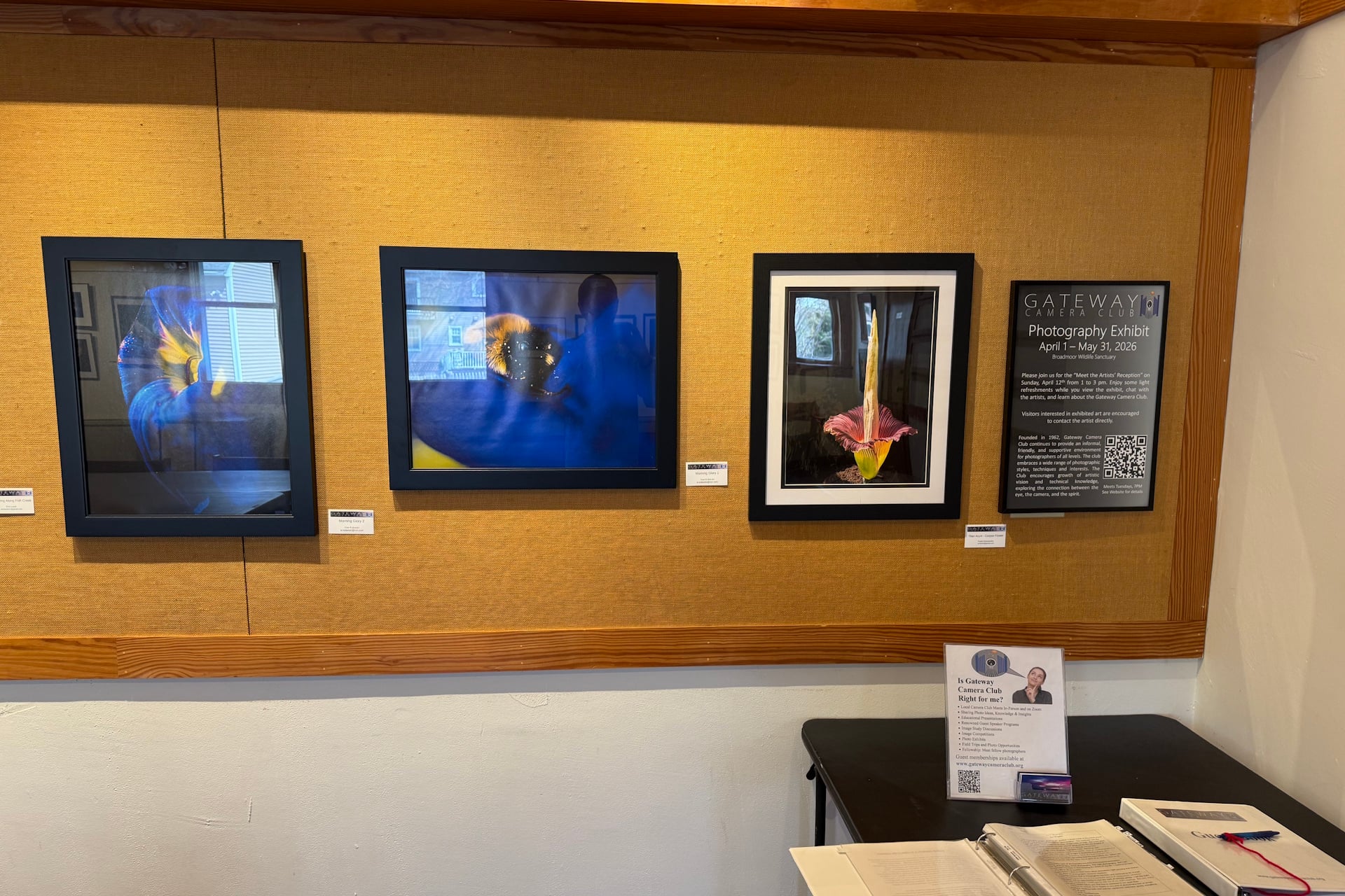 Four framed pieces hanging in the gallery