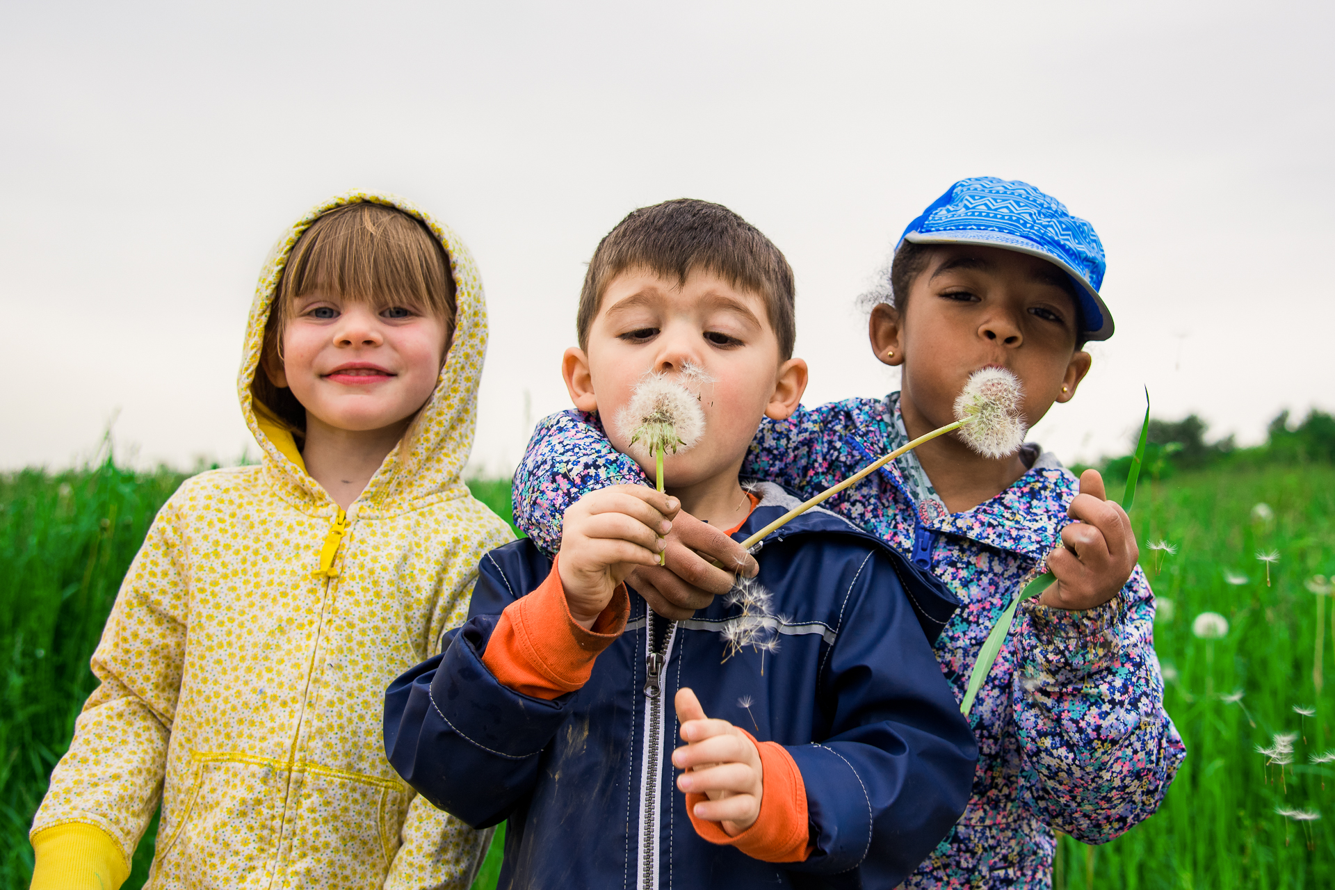 Three children at Drumlin Farm Community Preschool blowing seeds from dandelion flowers with their arms around each other