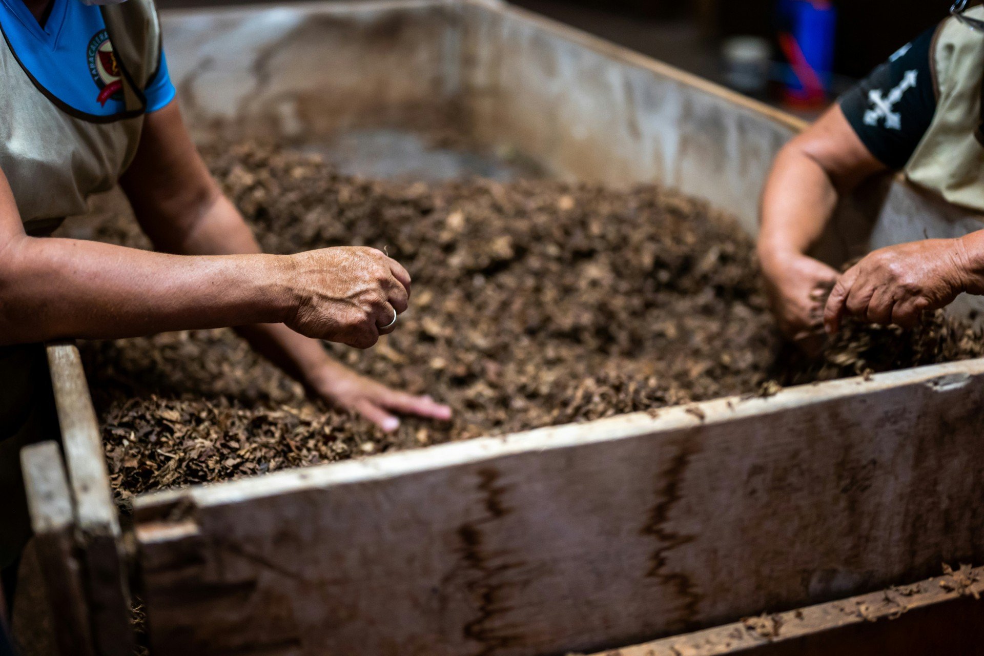 two people digging in dirt