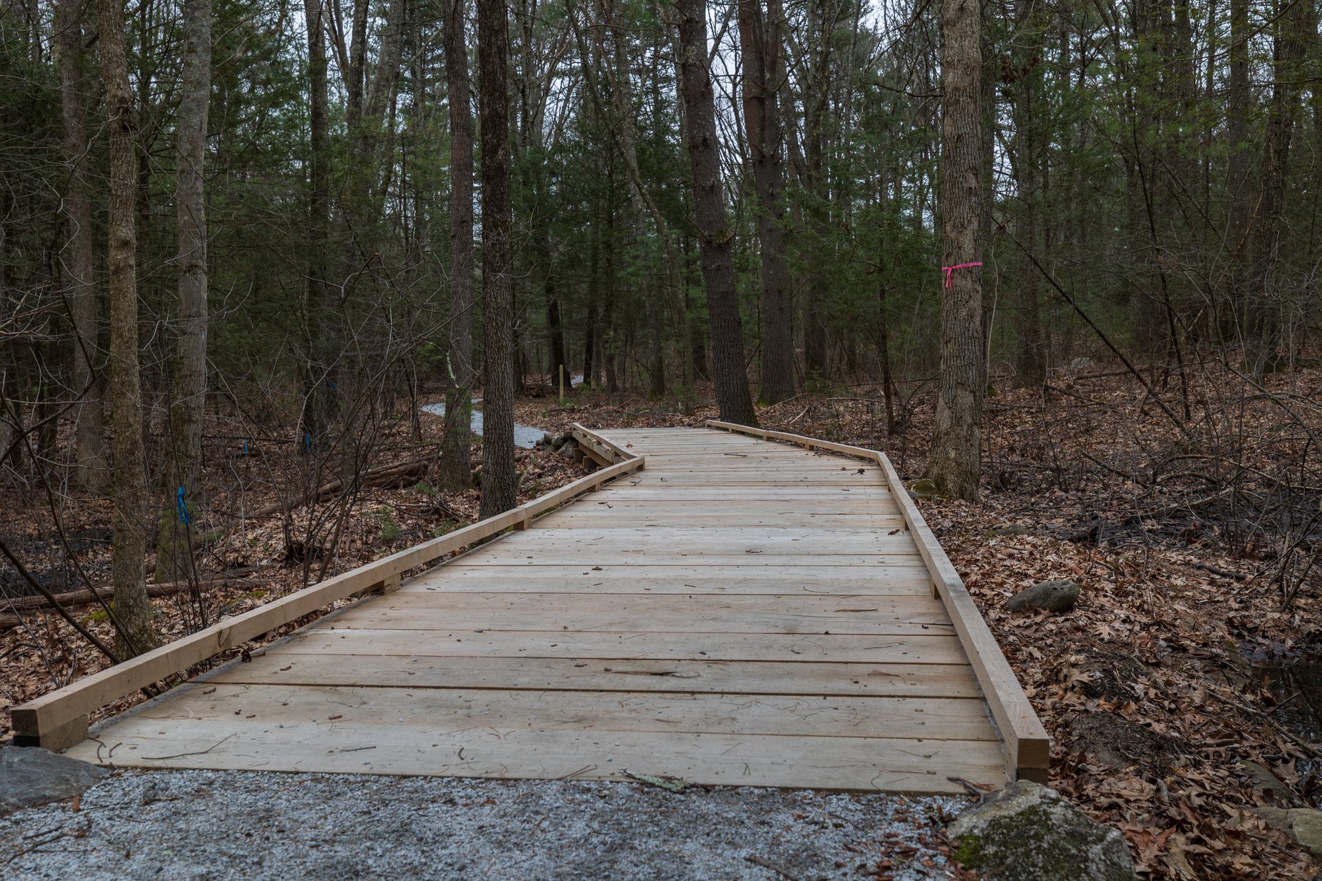 A wooden boardwalk with a gravel path on either ends cutting though a forest.