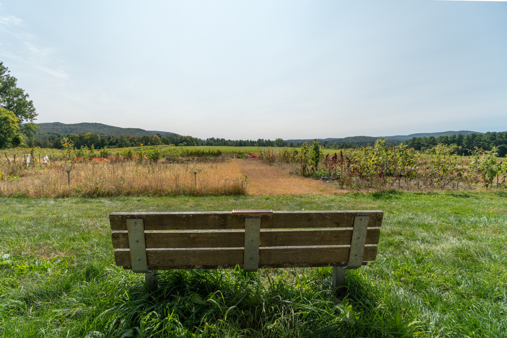 bench overlooking community garden