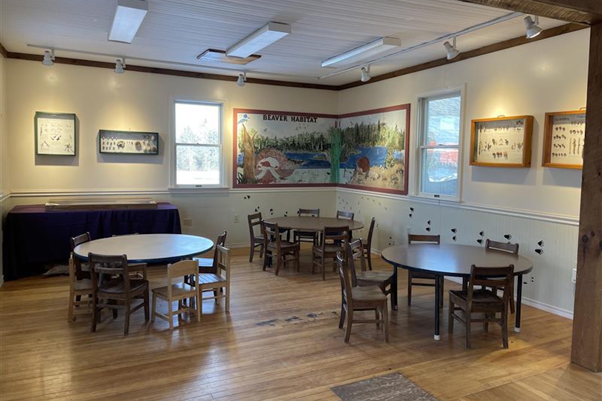 Tables and chairs set up in the nature center