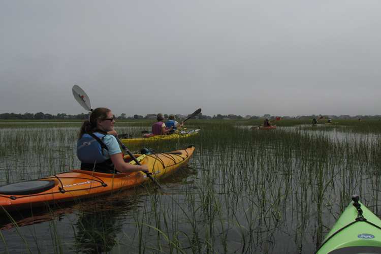 Kayaking through a marsh
