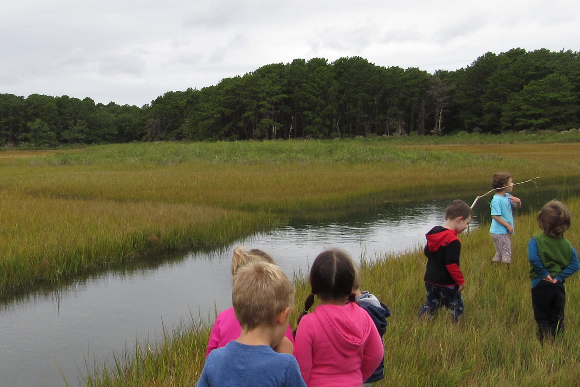 Children walking through a marsh