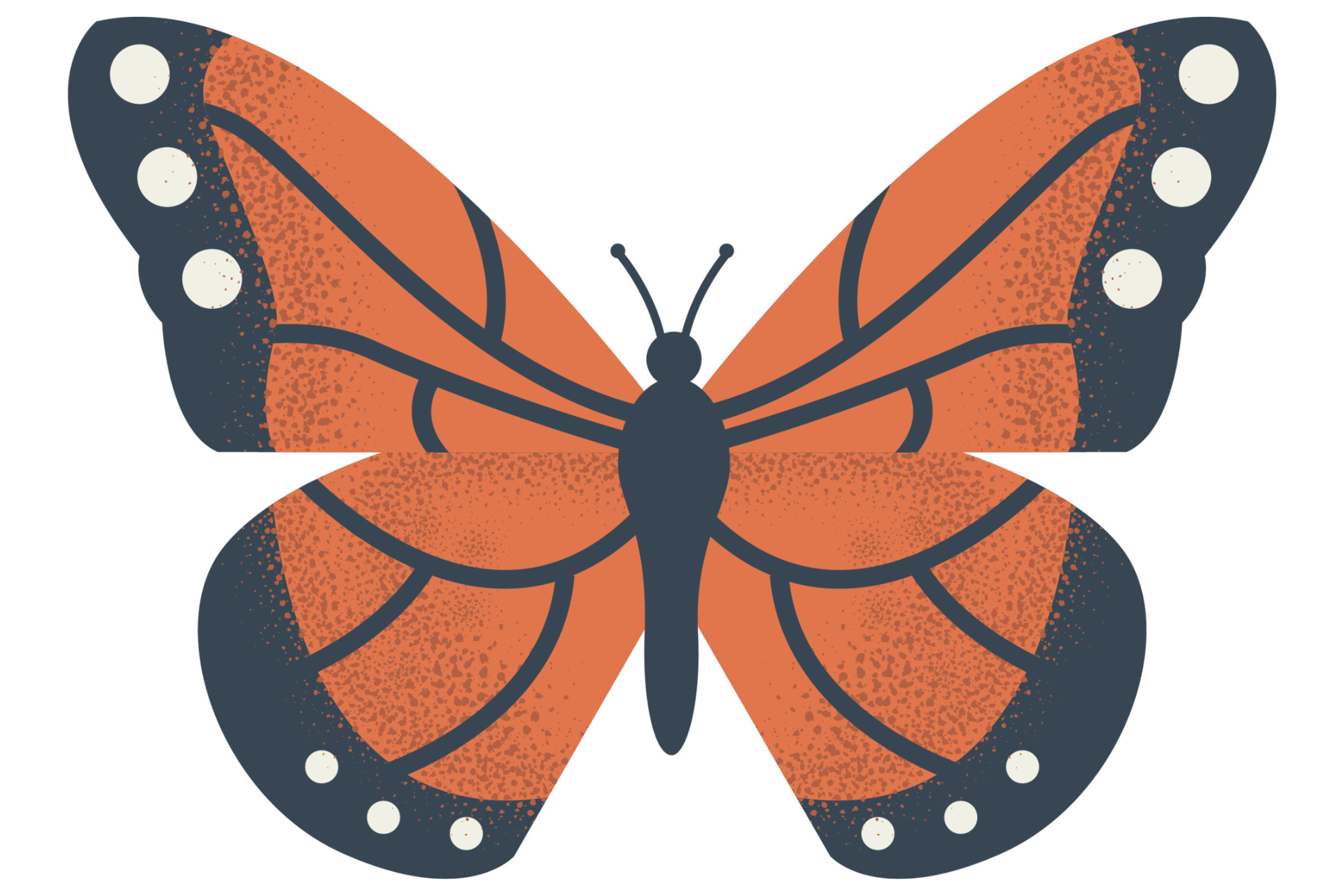 monarch butterfly graphic