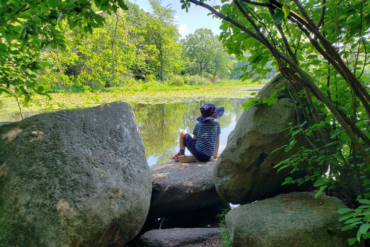 A child with a blue striped shirt and blue sun hat sits on a rock overlooking a pond.