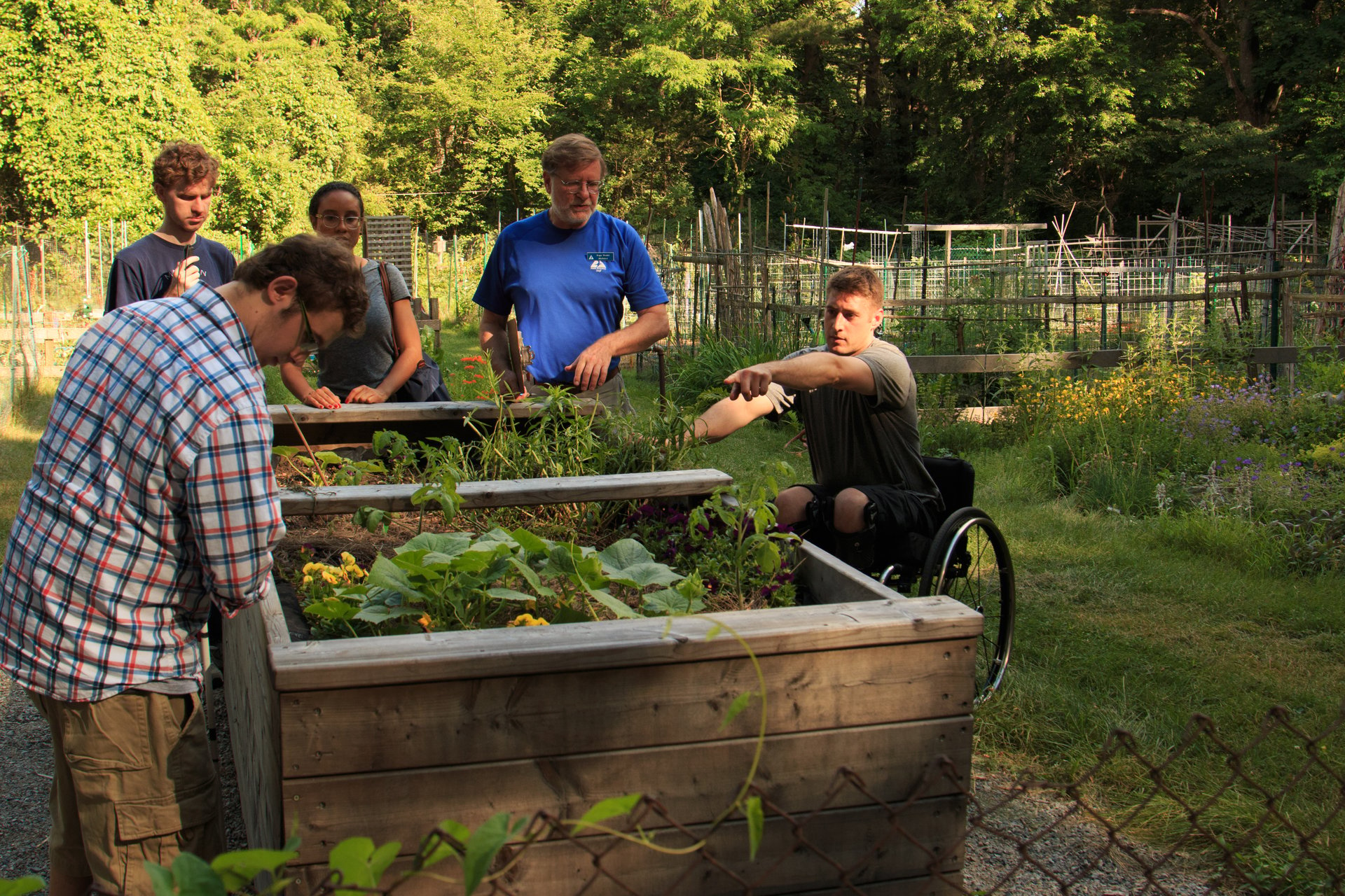 Four standing adults and one adult in a wheel chair working on a raised garden bed.