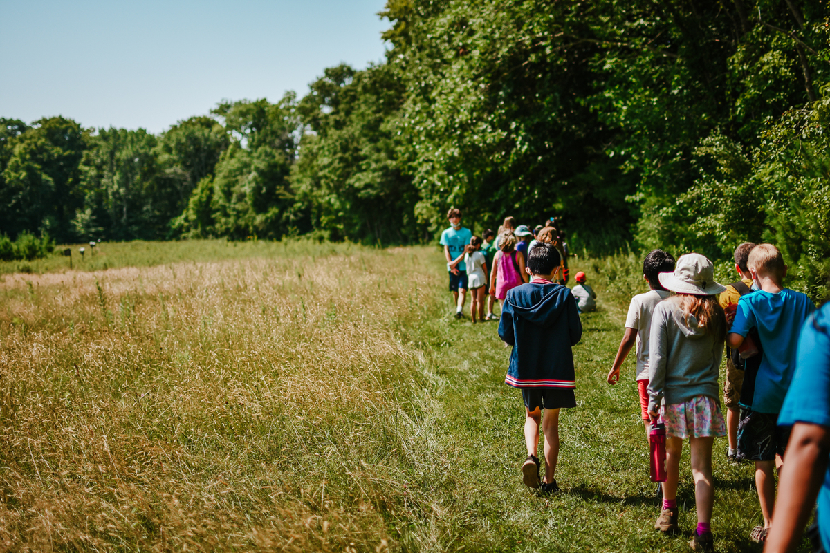 A group of kids line a path cut between tall vegetation and the woods.