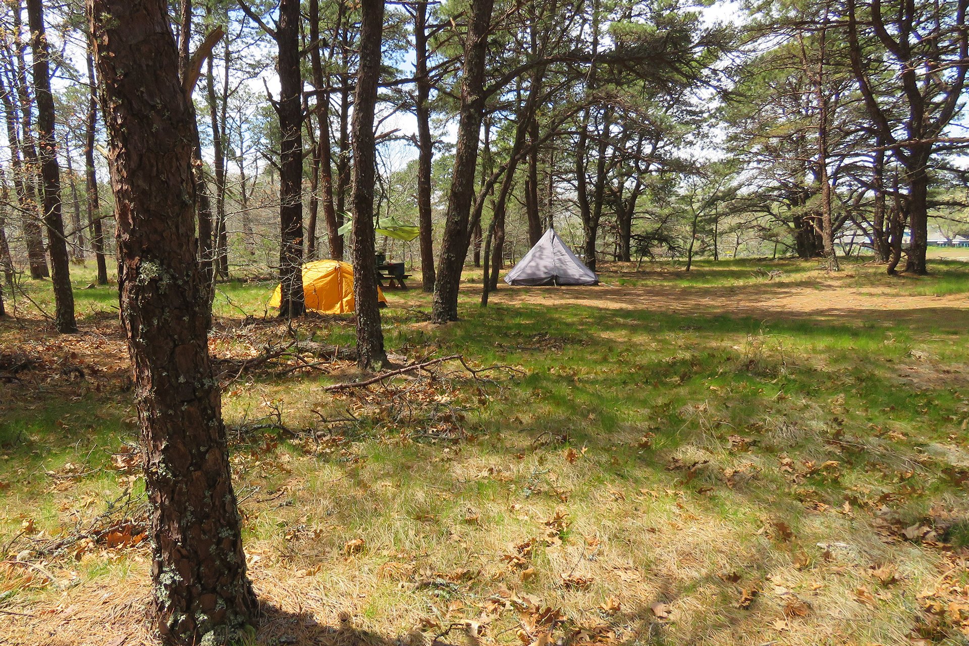 campground with two tents in the distance