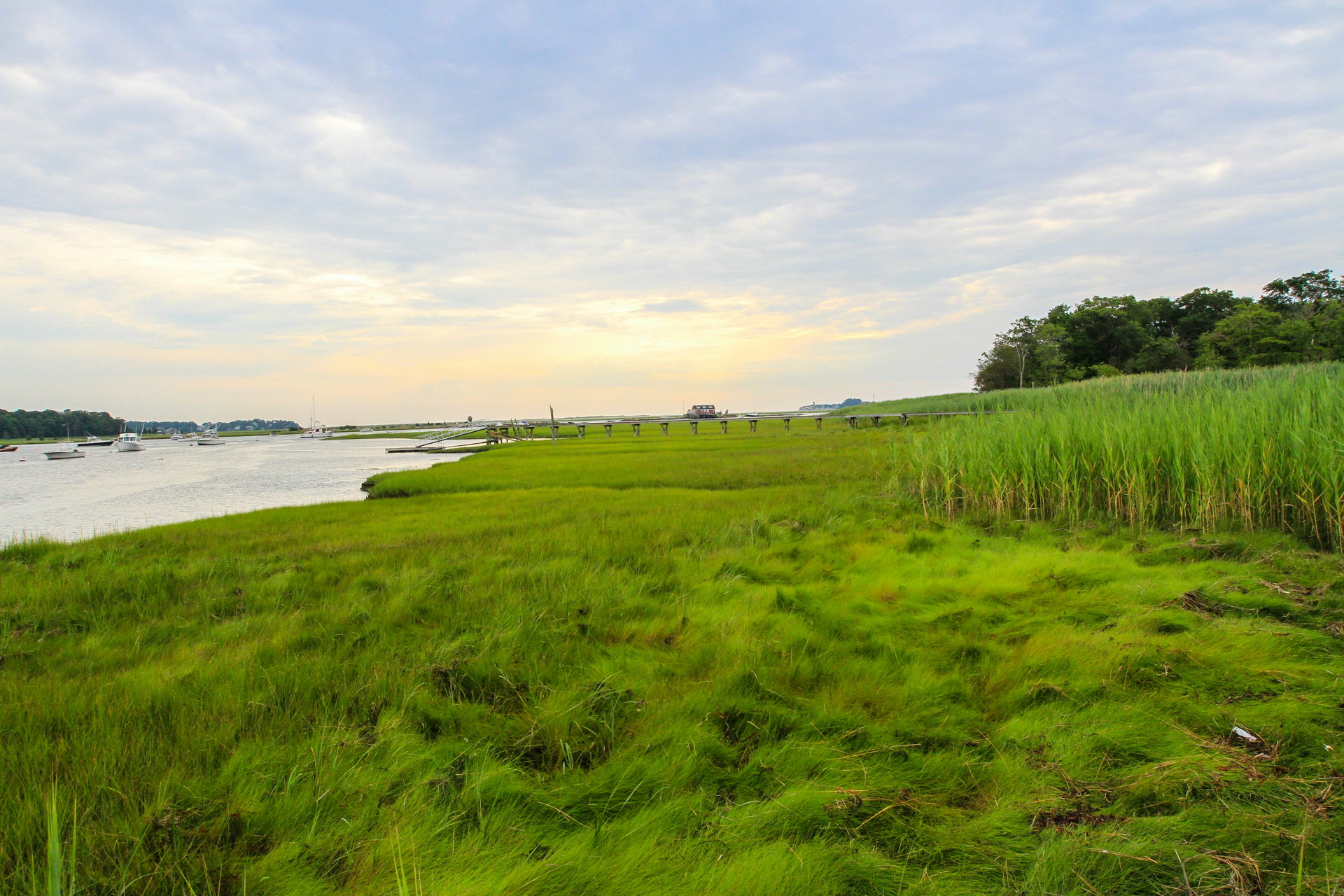 A grassy ledge to a channel with boats on it.