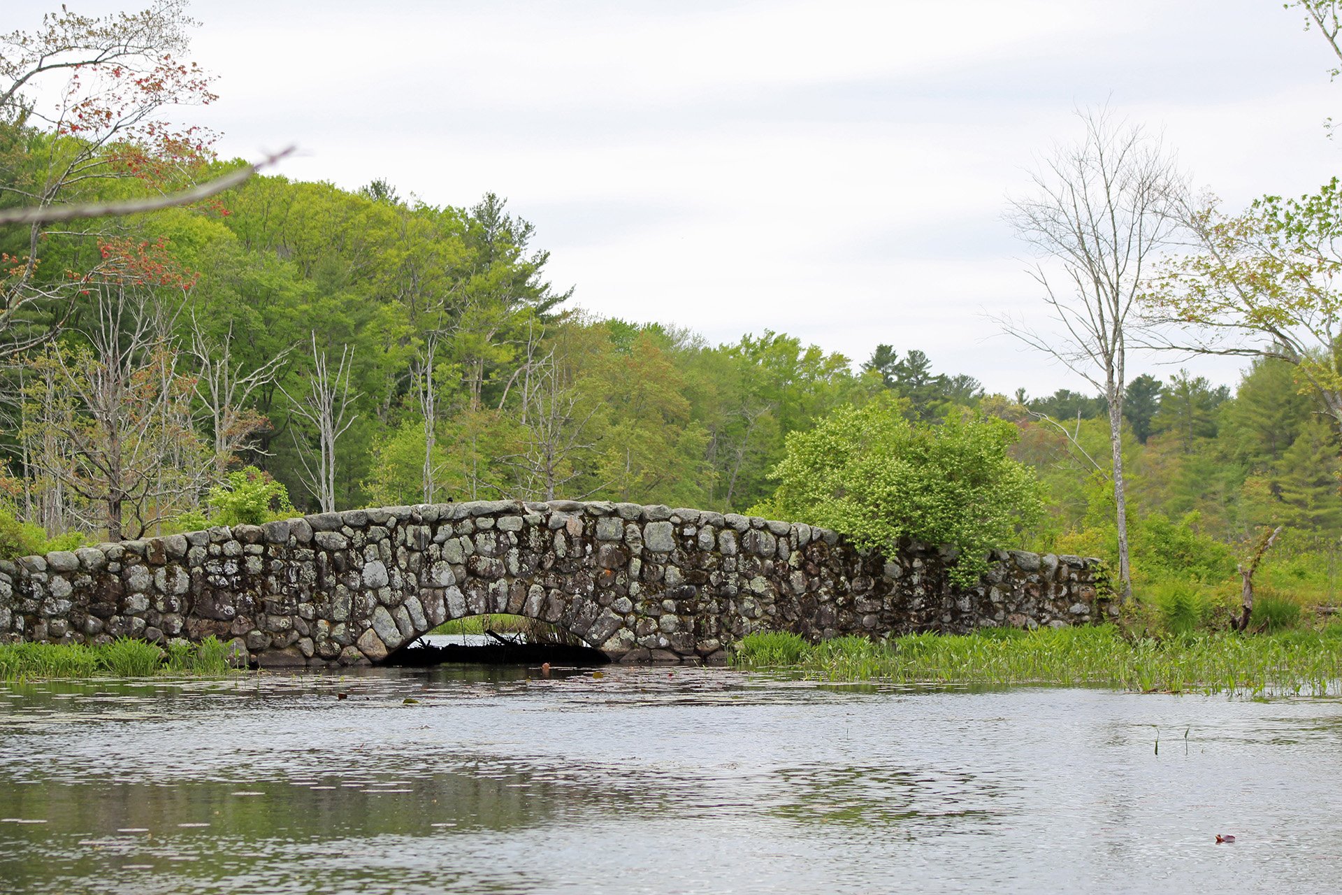 Stone bridge over water with trees in background