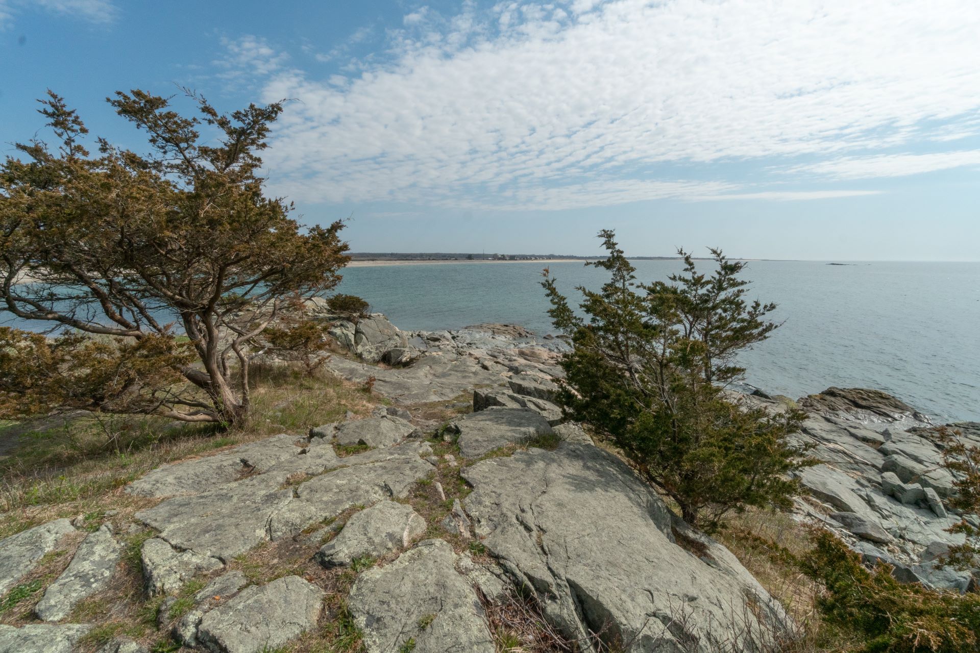 Coastal view of Allens Pond