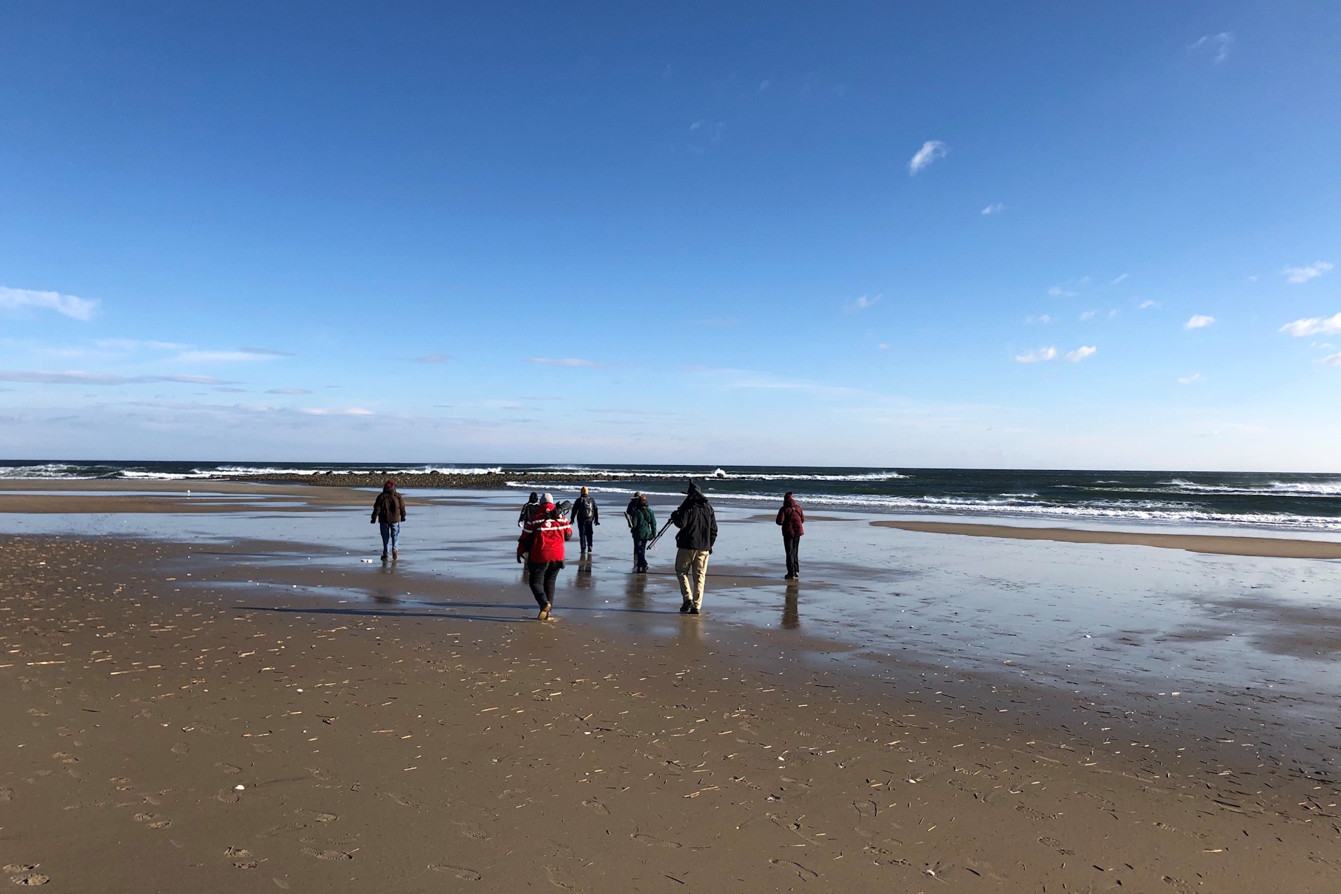 Group of birdwatchers in the distance on the beach under clear skies