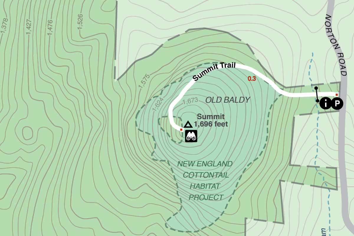 A cropped map depicting an aerial view of Old Baldy