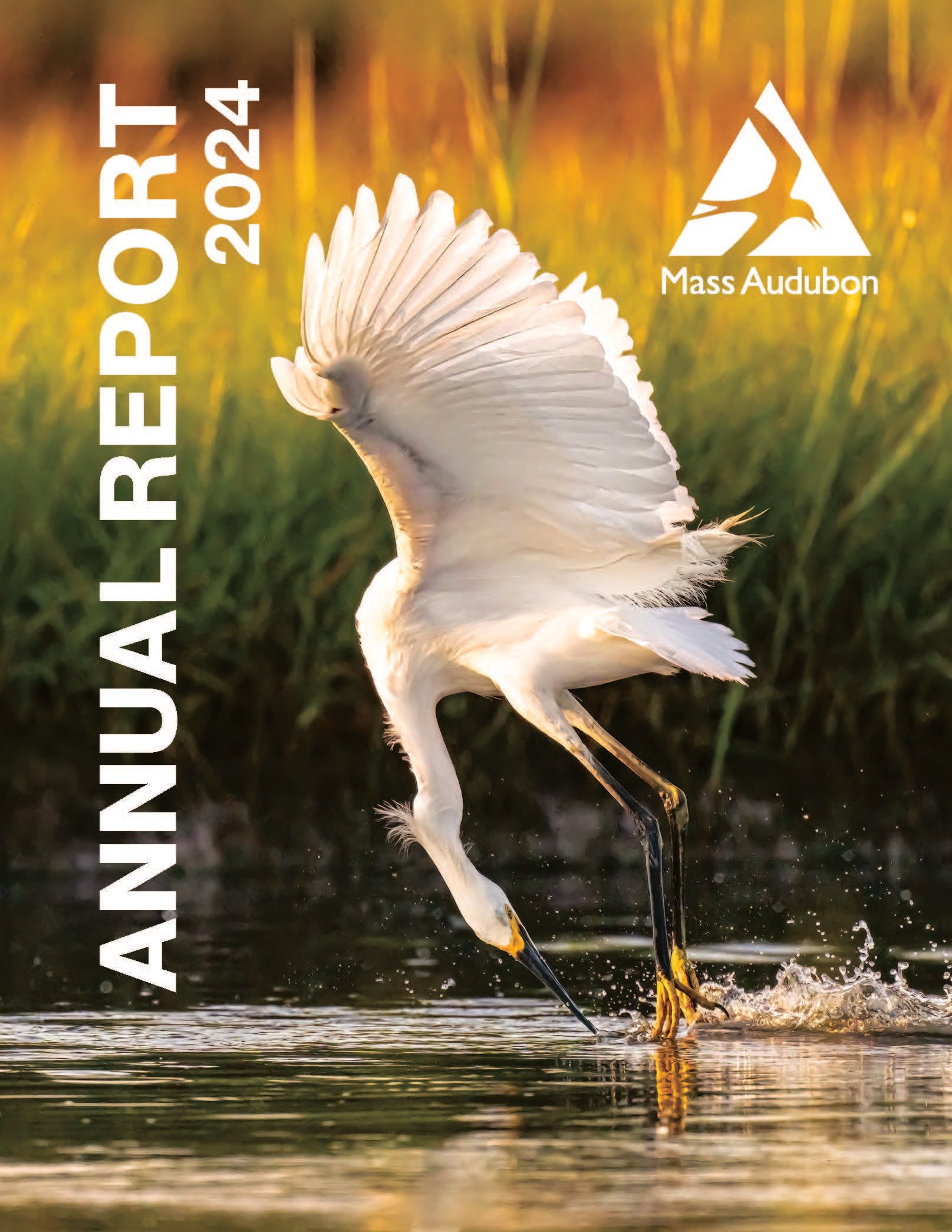Image of a snowy egret hovering over the water on the Annual Report Cover
