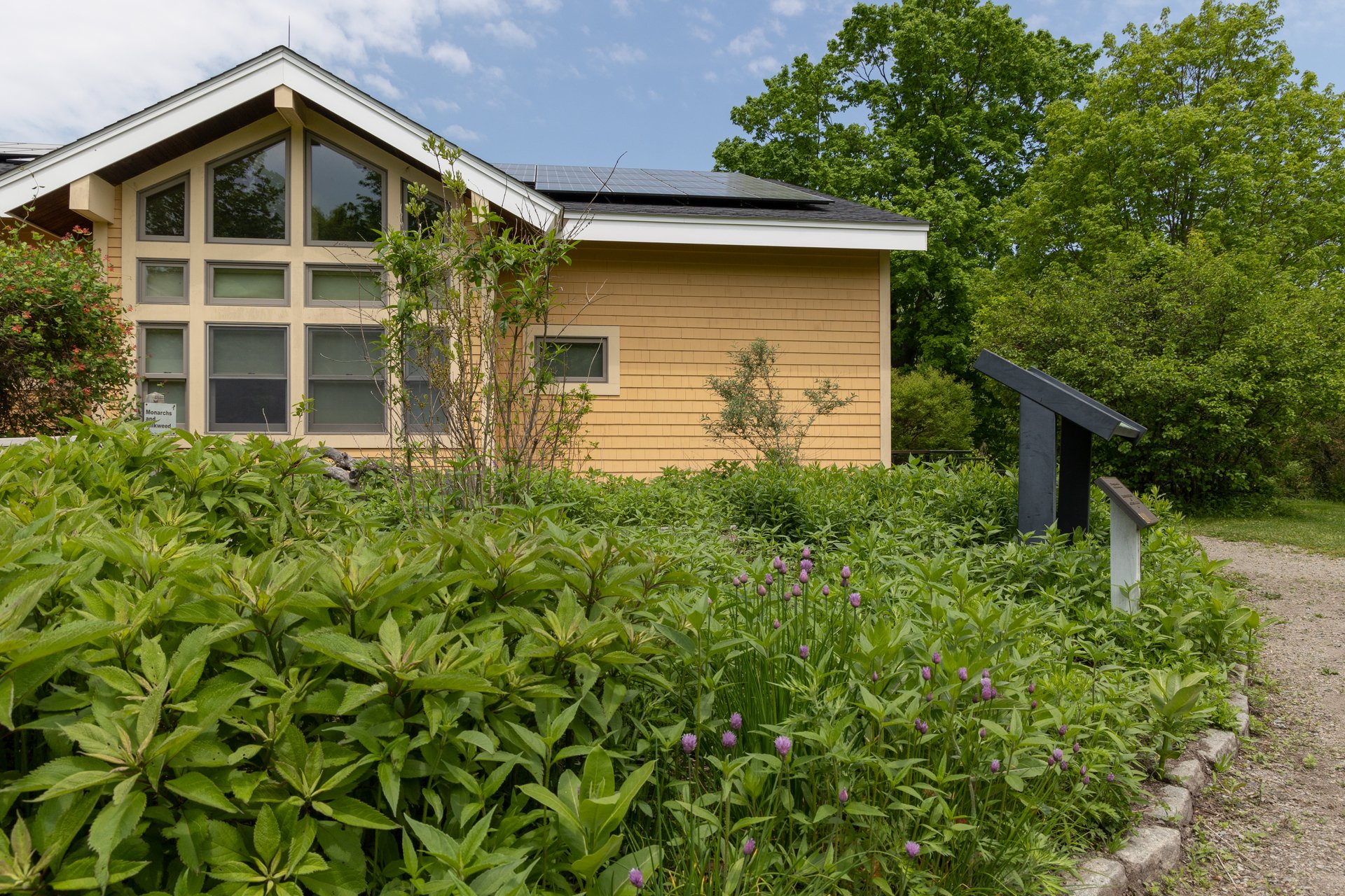 A lush green garden in front of a tan building with windows.