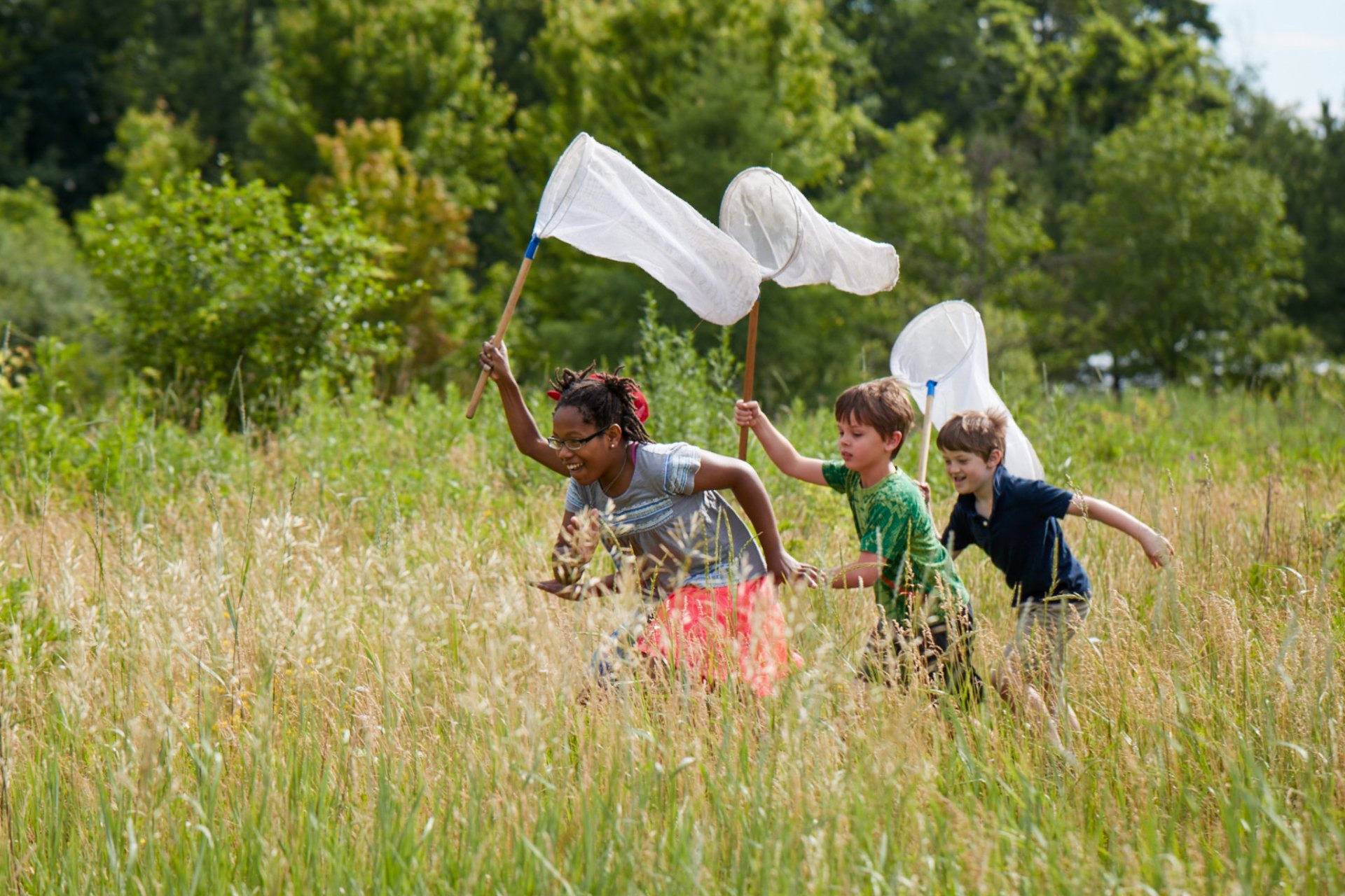 A group of campers at Boston Nature Center Camp run through a sunny meadow holding up insect nets with long handles