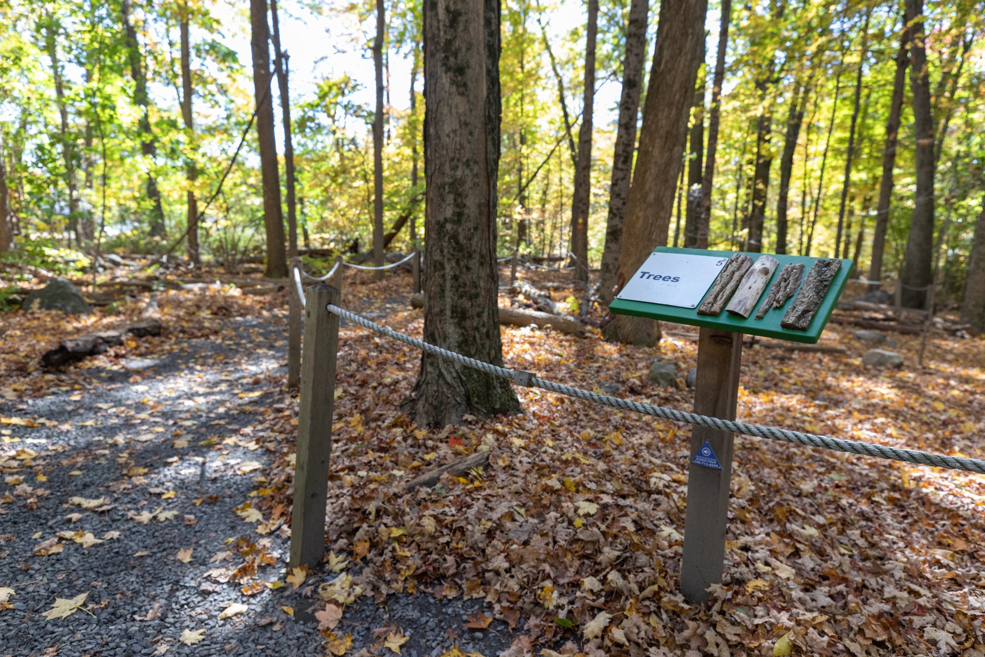 BMB All Persons Trail Rope and Sign with sensory tree elements