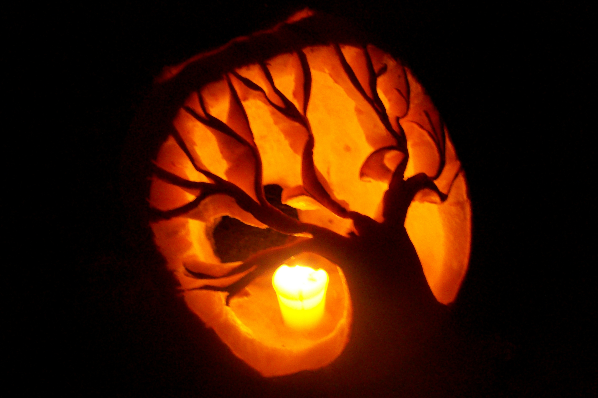 A jack-o-lantern carved into the outline of a tree with no leaves