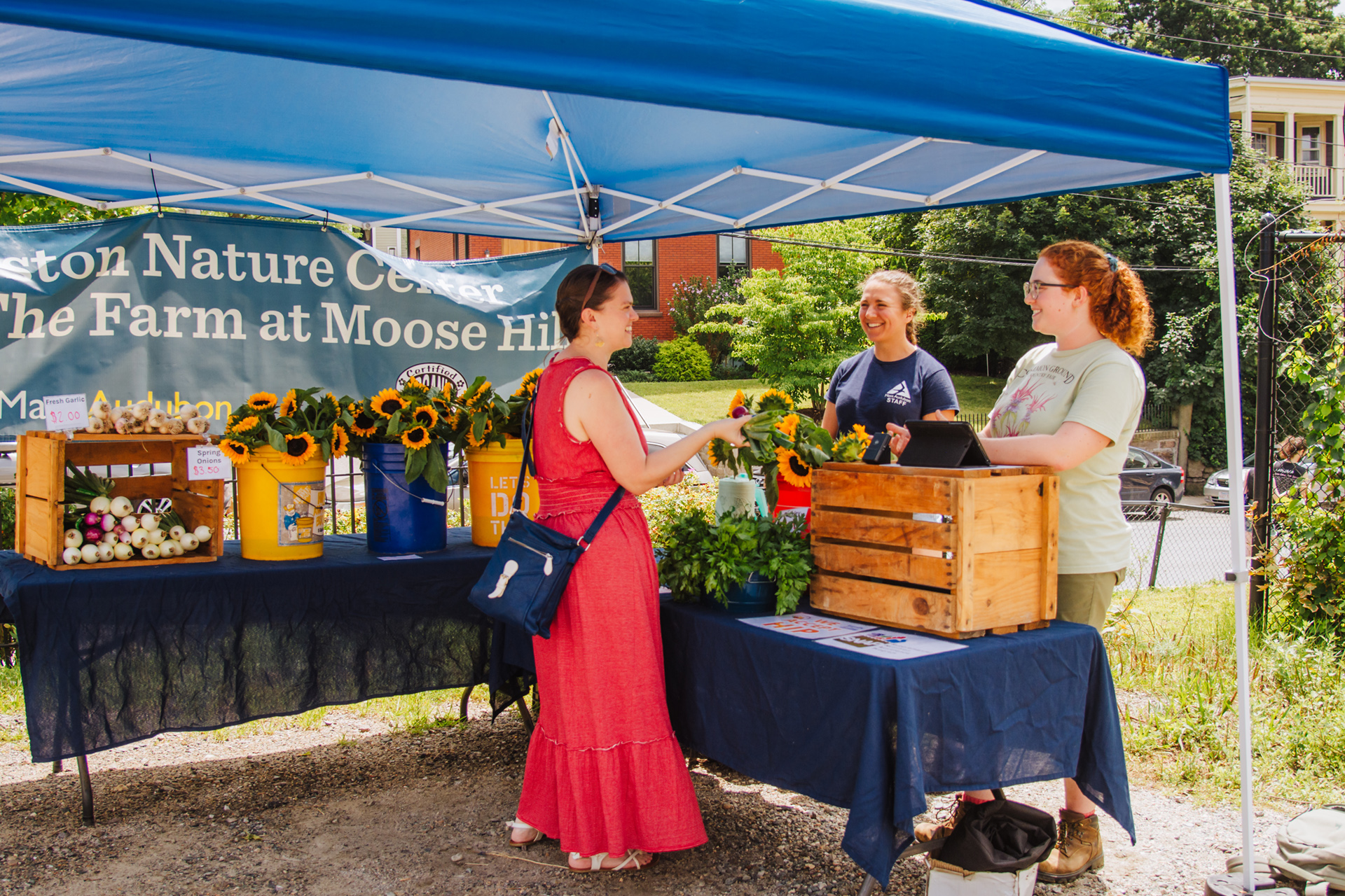 Moose Hill's stall at a farmer's market - two staff are behind a table while a customer talks to them holding a bunch of sunflowers