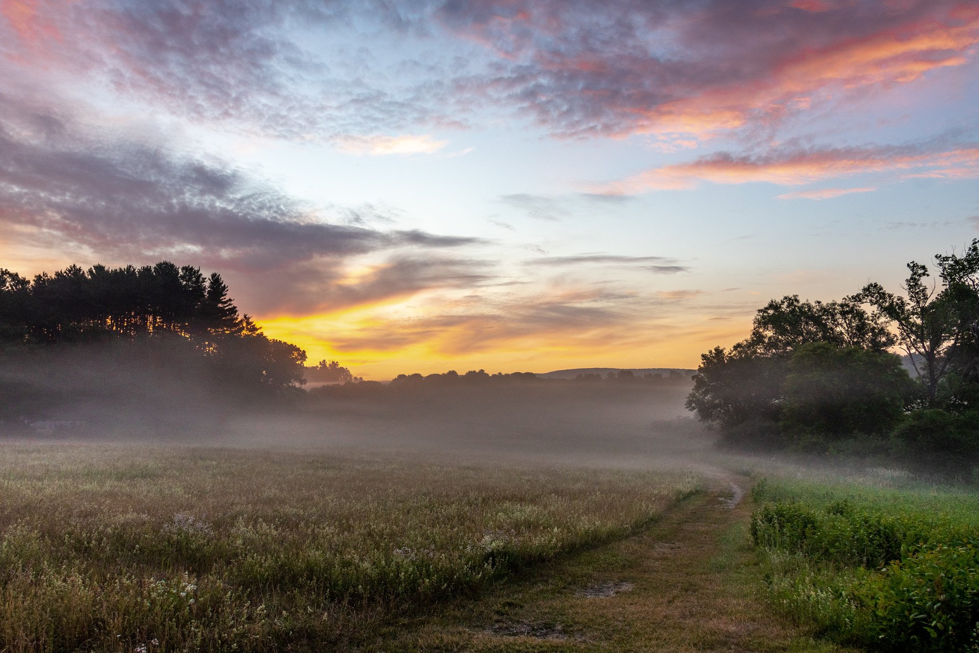 Fog hovers over a meadow surrounded by a forest during sunrise.