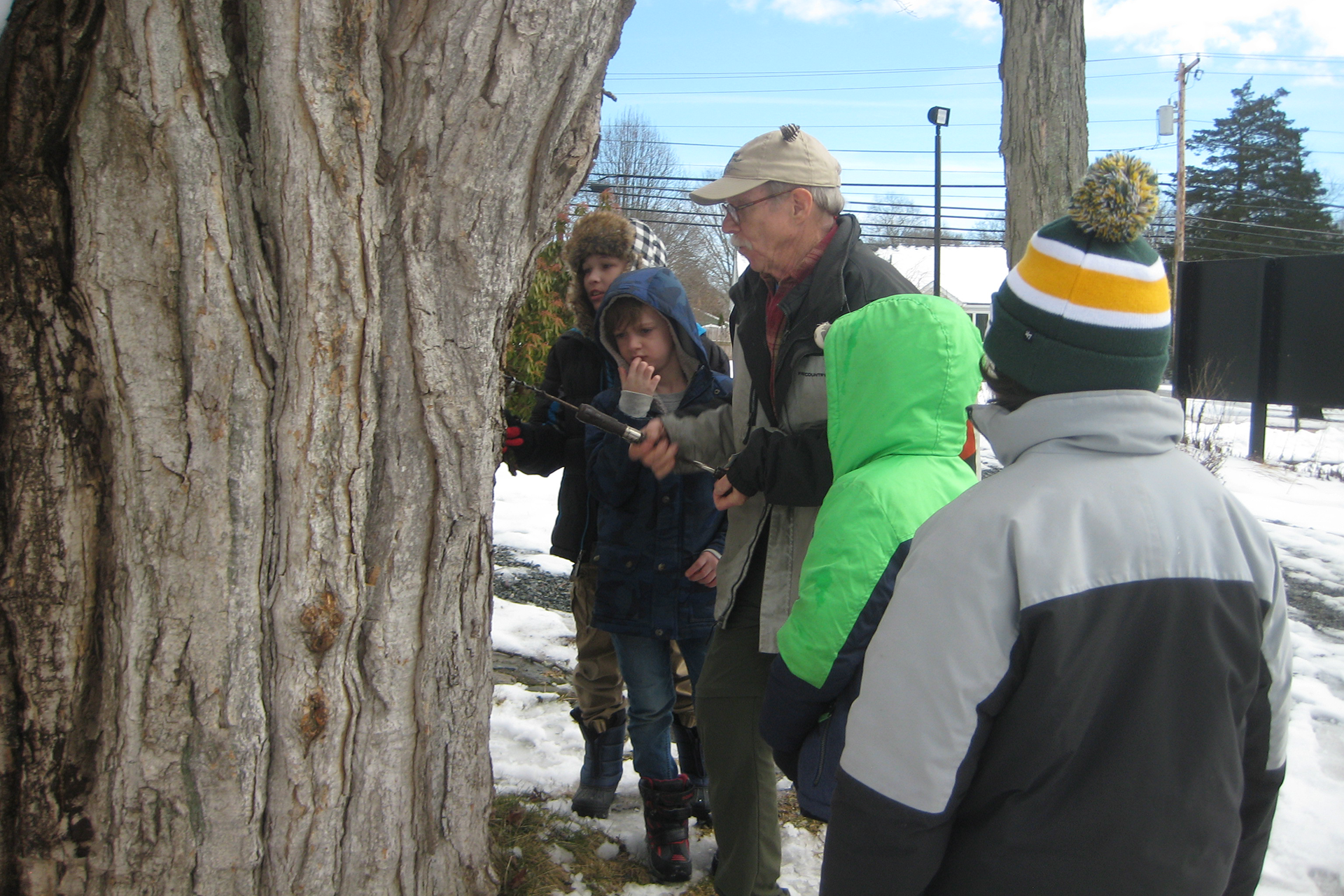 Man with white hair and brown mustache taps into a tree with several young boys around him.