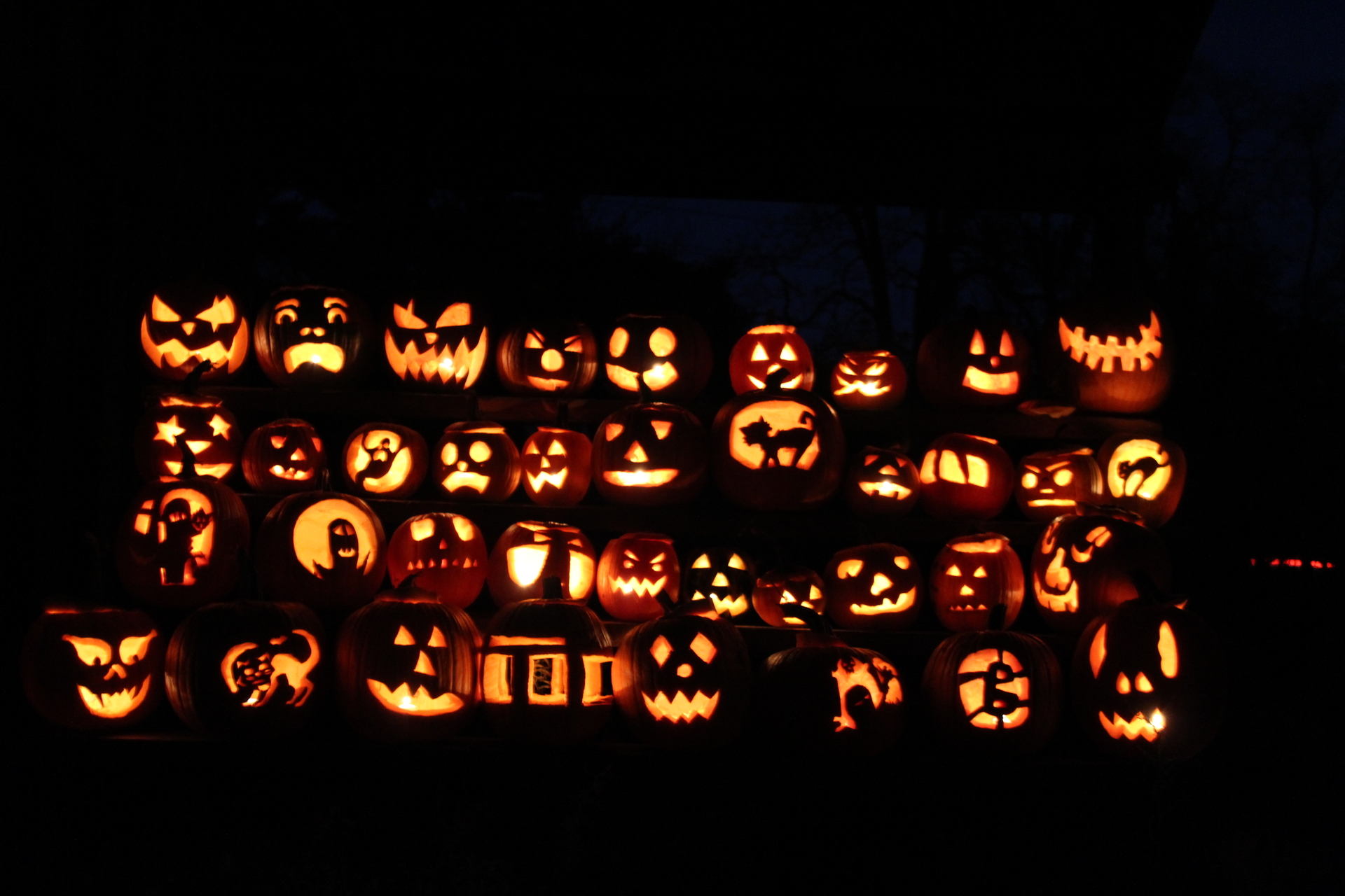 Four rows of jack-o-lanterns glow on a black background.