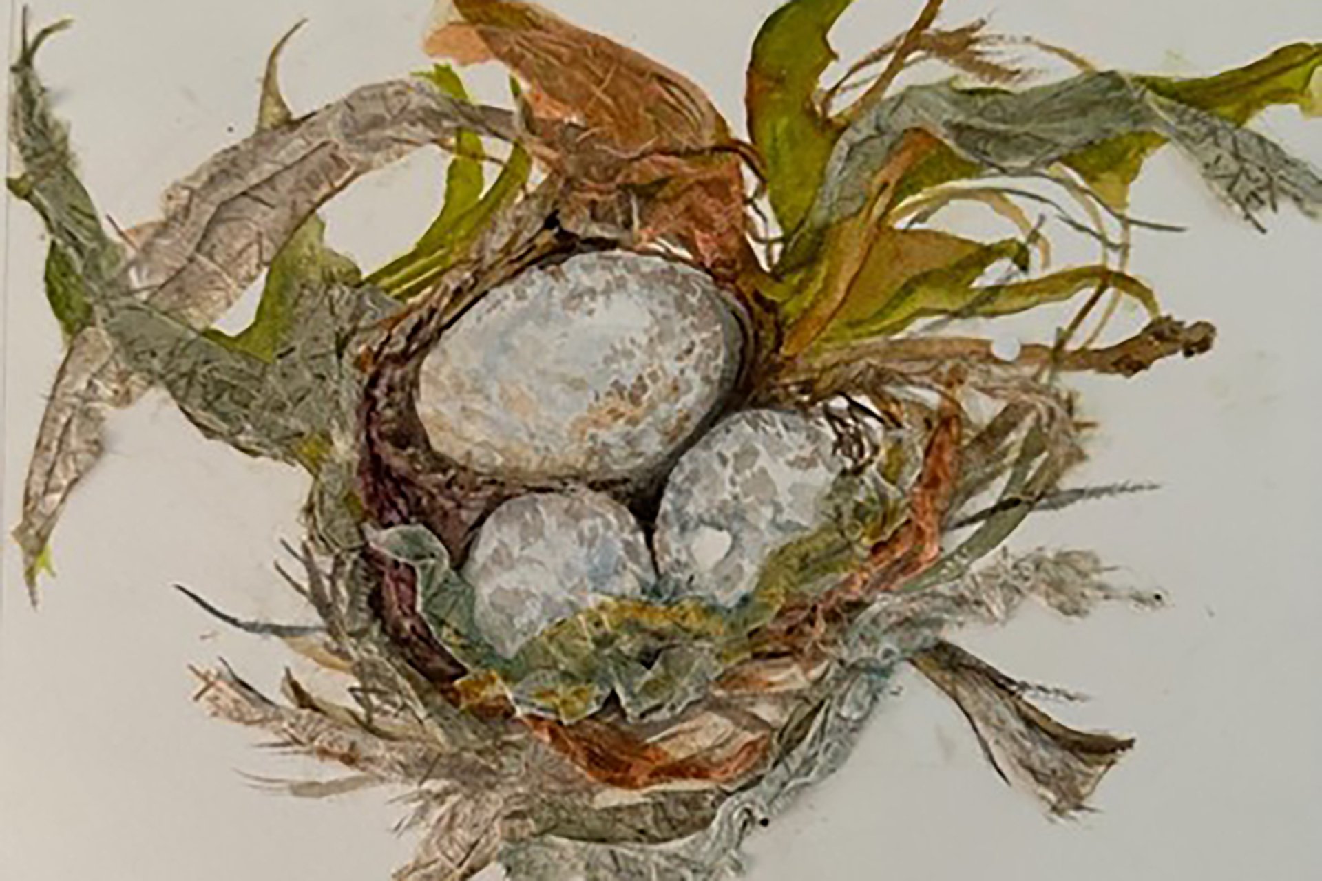 Painting of a bird's nest with eggs inside