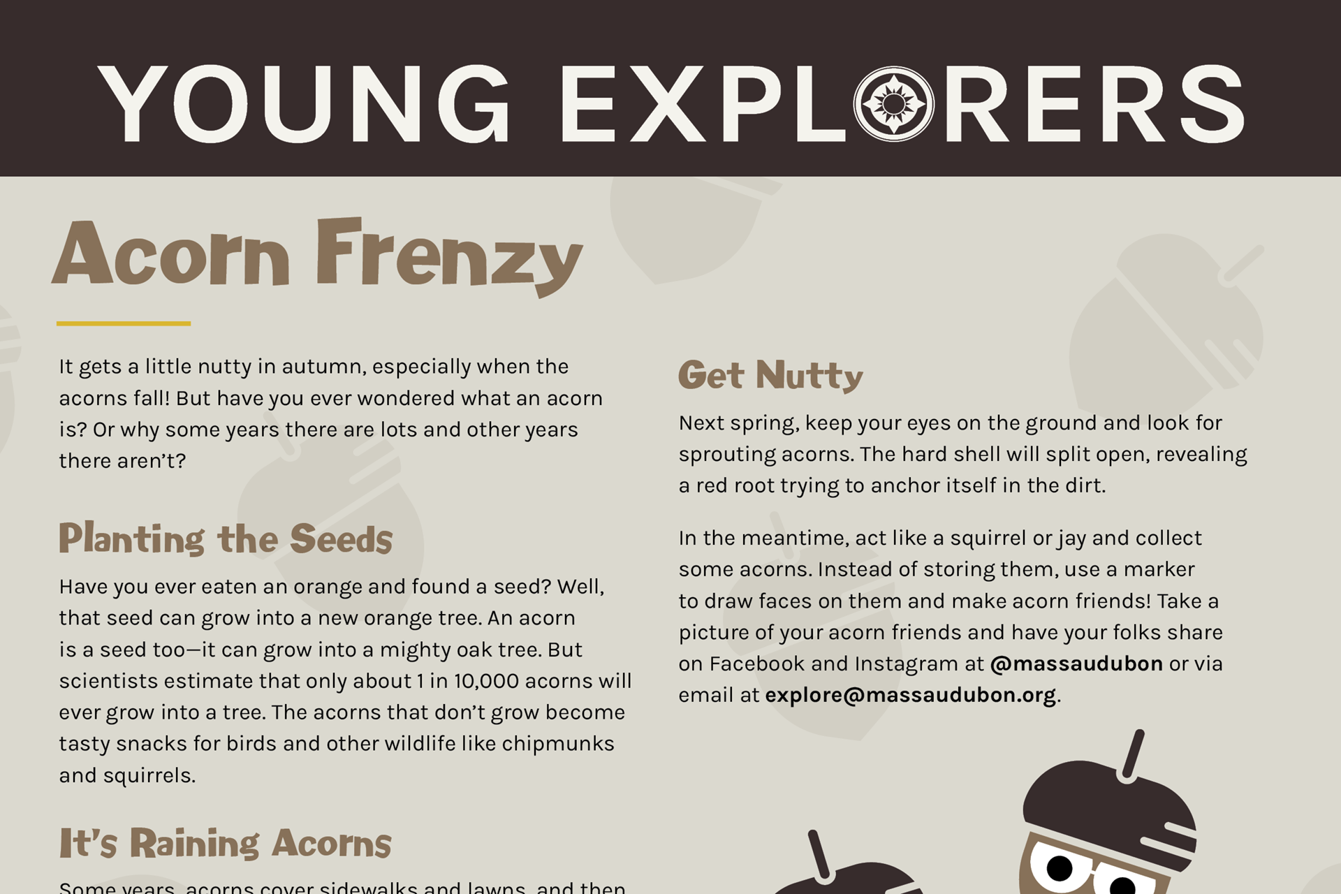 Young Explorers Activity Sheet - Acorns - Fall 2023