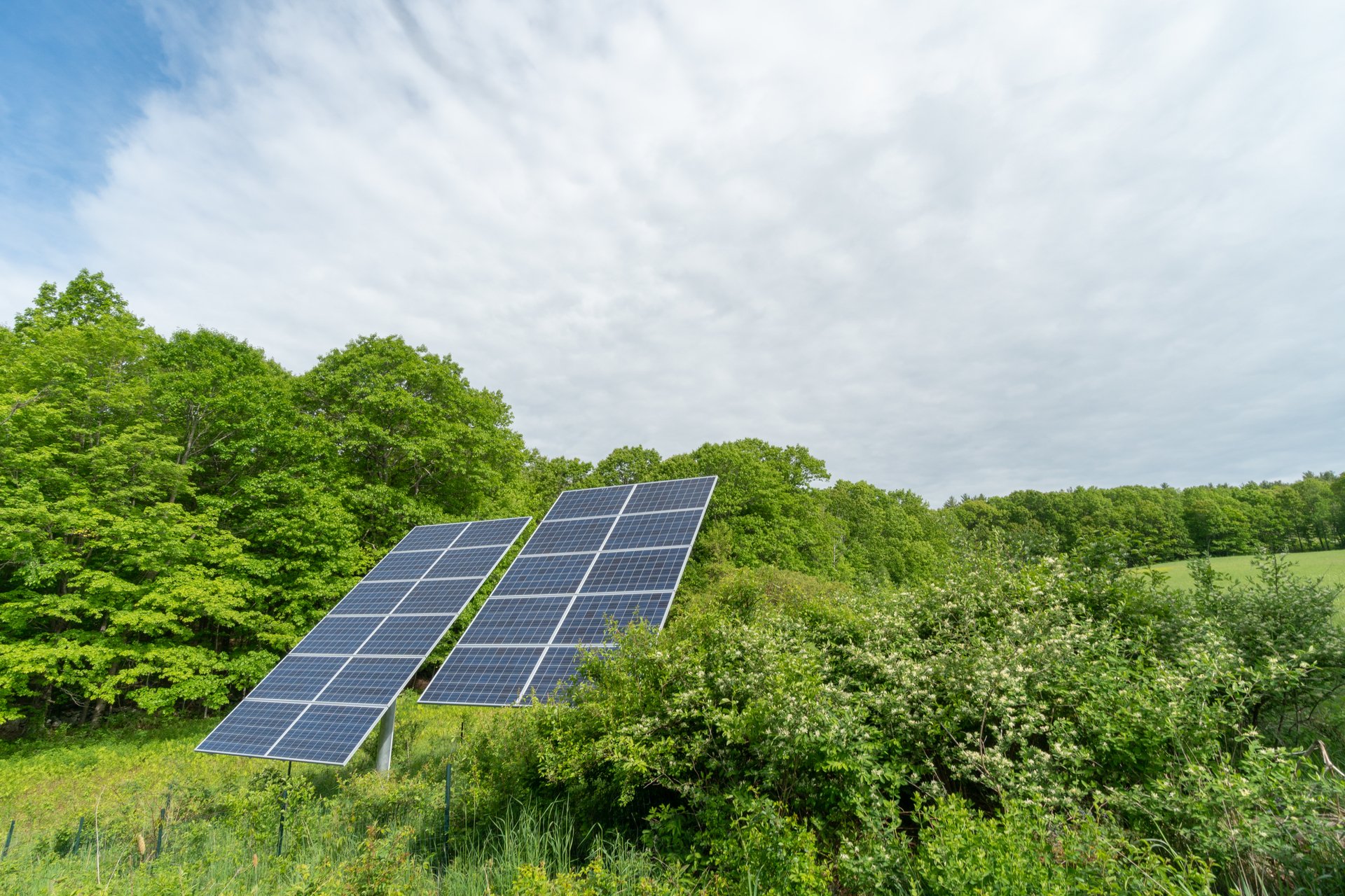 Solar Panels in Field at Wachusett Meadow,