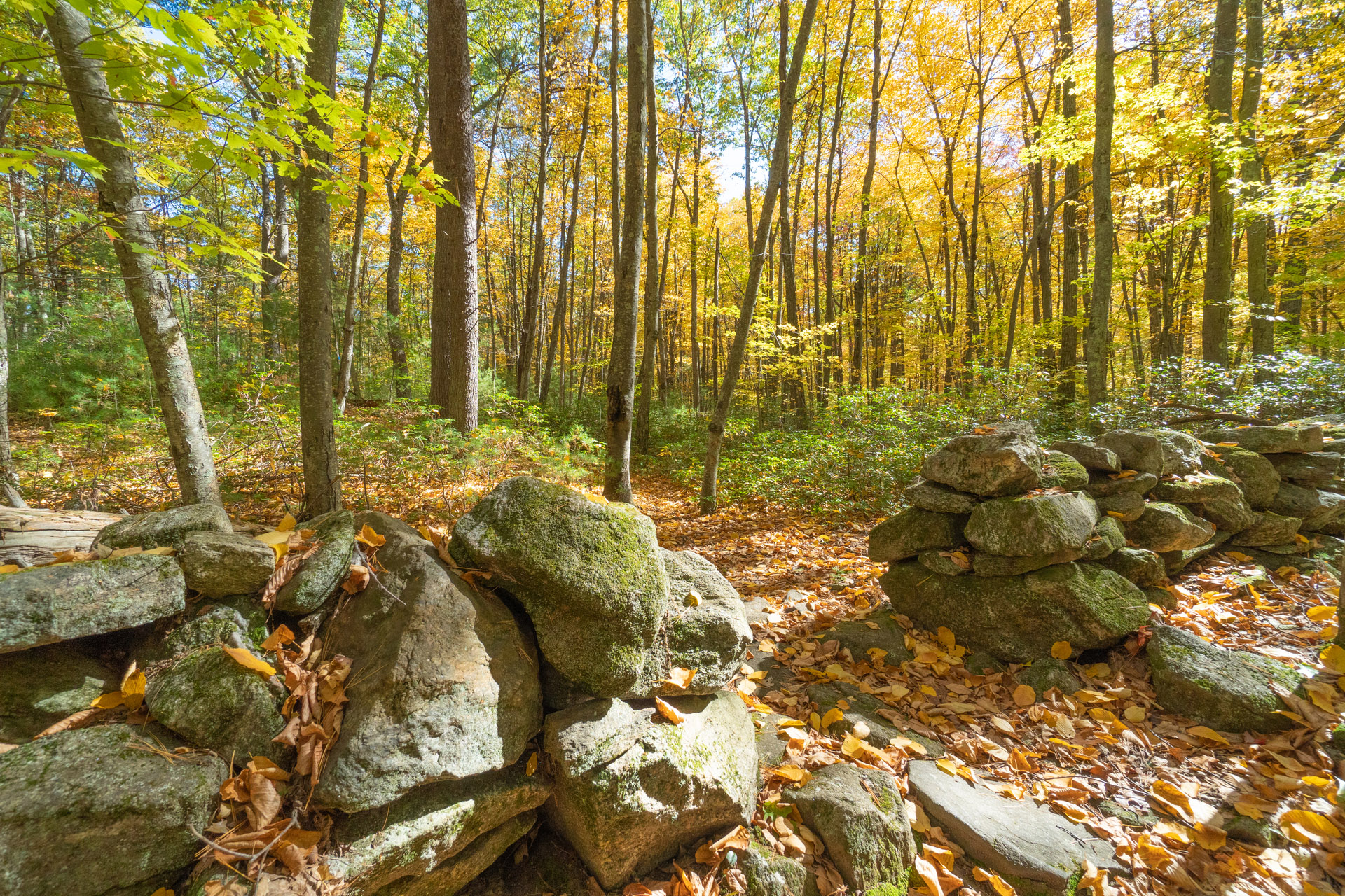 Opening in a rockwall standing in the middle of a forest in the fall, the ground is covered in orange and yellow fallen leaves.