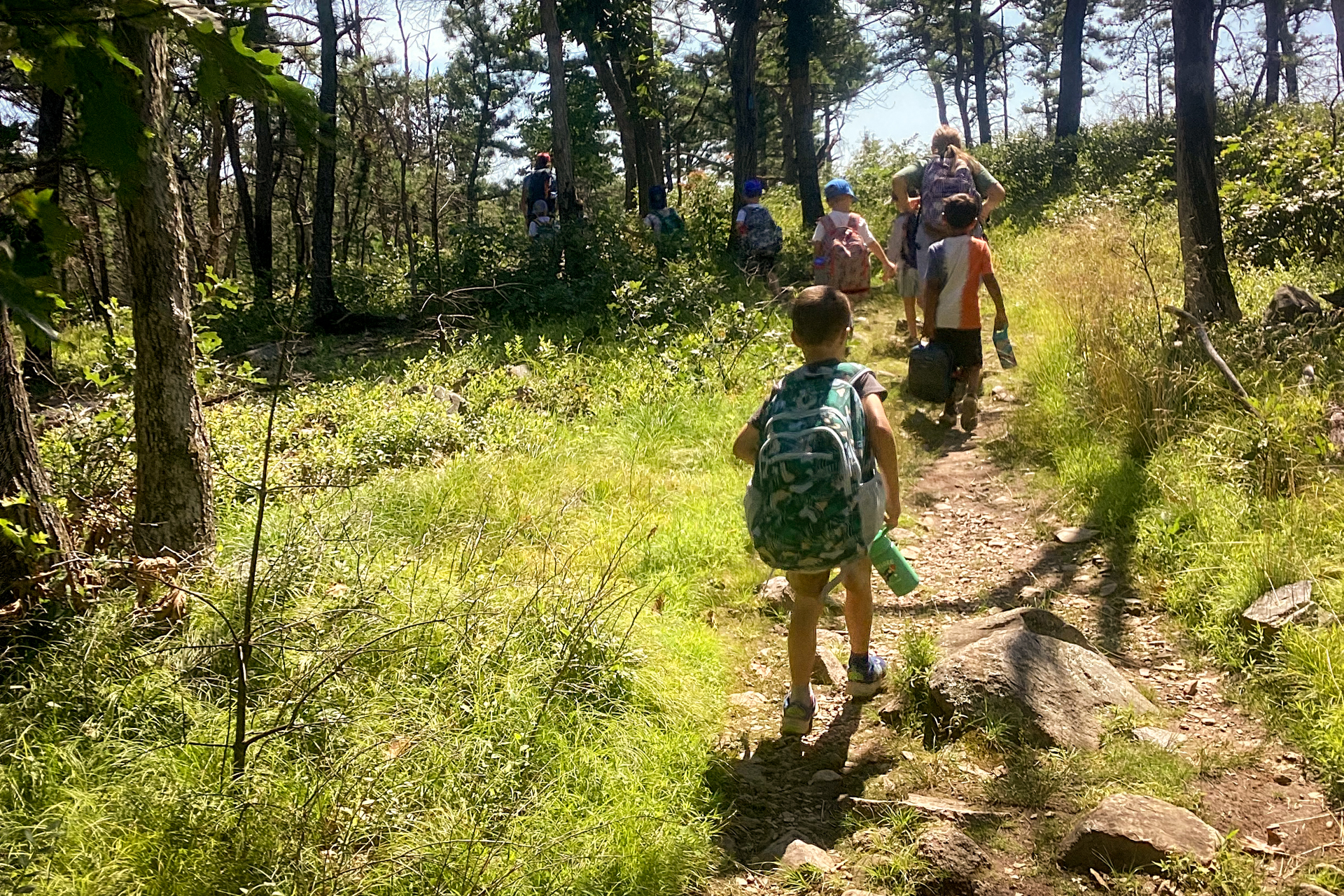 A group of Blue Hills campers wearing backpacks and carrying water bottles, enjoying a hike on a forest trail in the Blue Hills Reservation